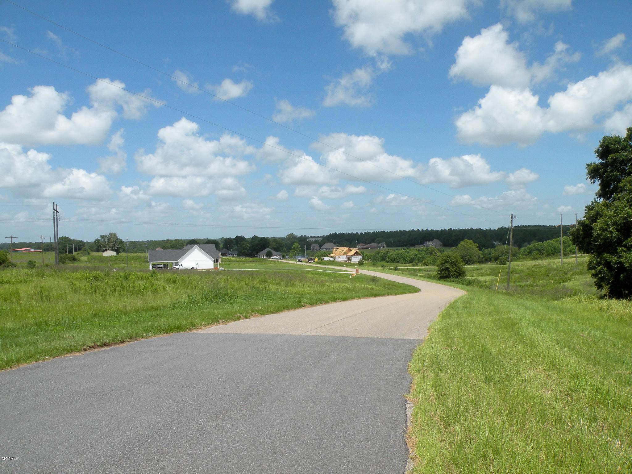 Lucedale, MS 39452,24 G Buckley Lane