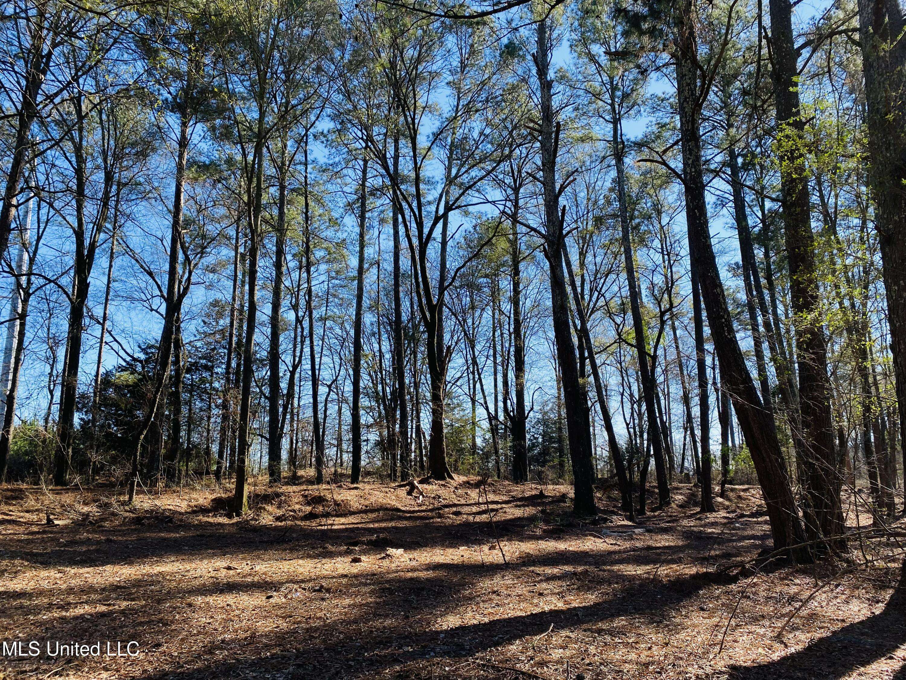 Morton, MS 39117,Irby Road