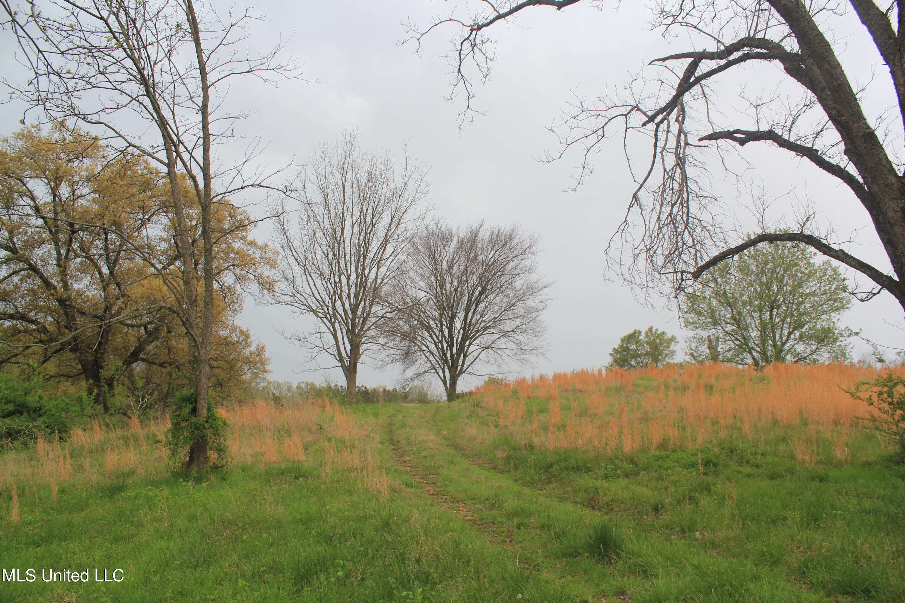 Nesbit, MS 38651,2980 Fogg Road