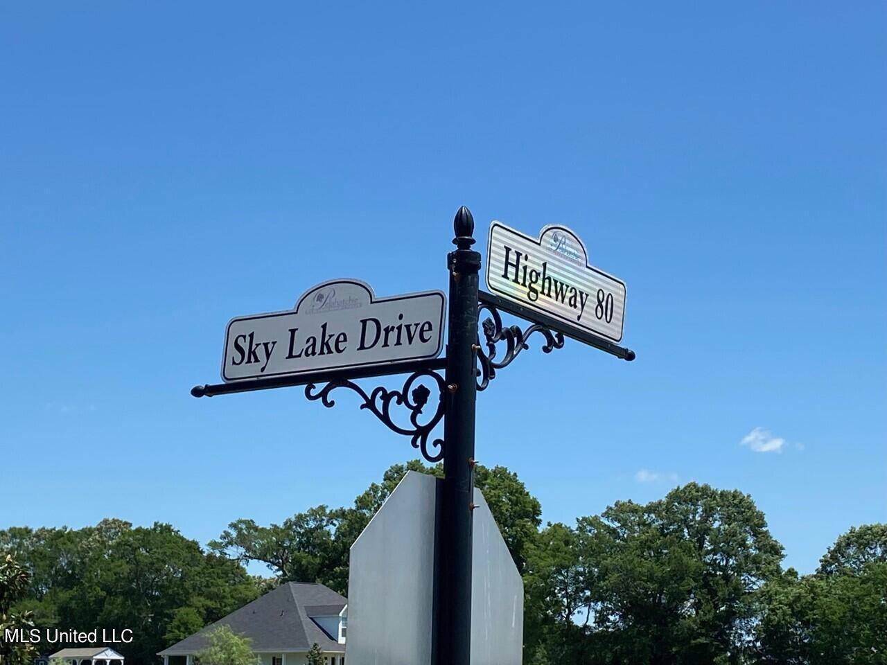 Pelahatchie, MS 39145,8 Skylake Drive