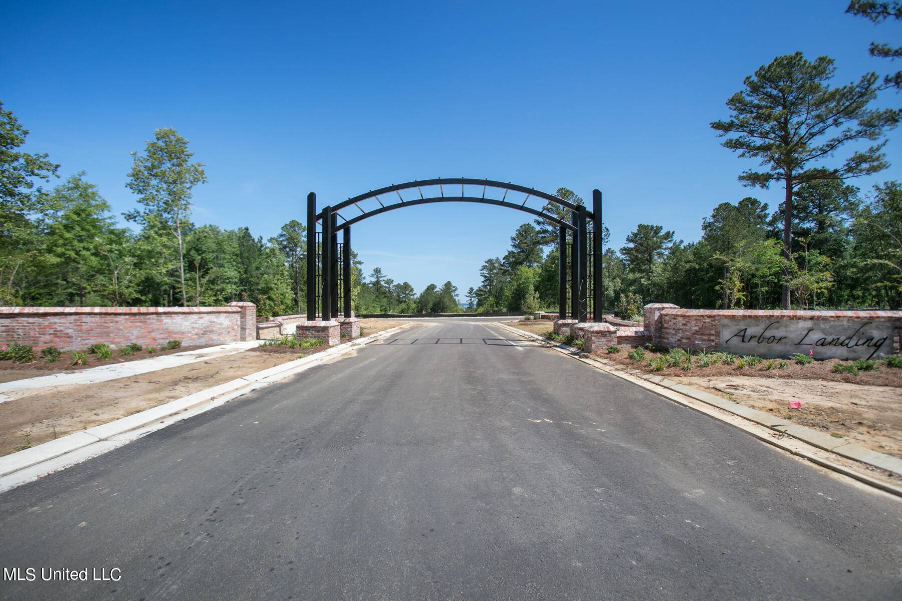 Brandon, MS 39047,197 Arbor View