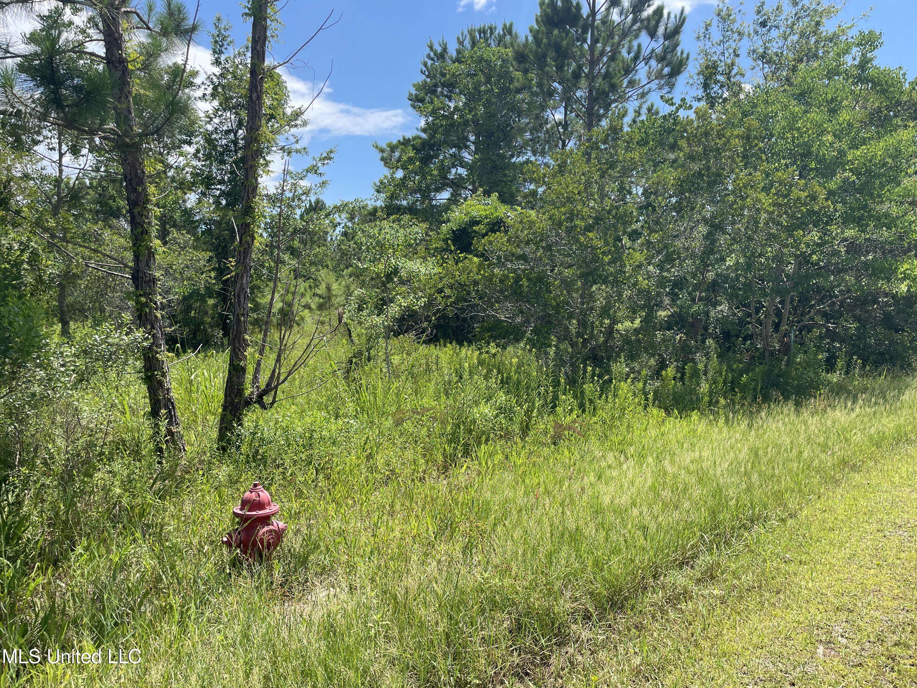 Waveland, MS 39576,0 4th Street
