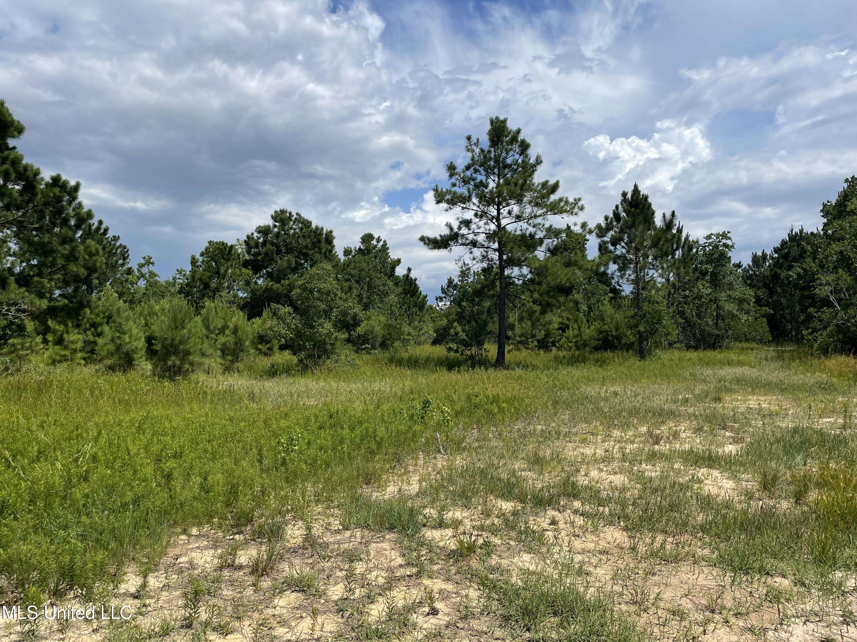Waveland, MS 39576,0 4th Street