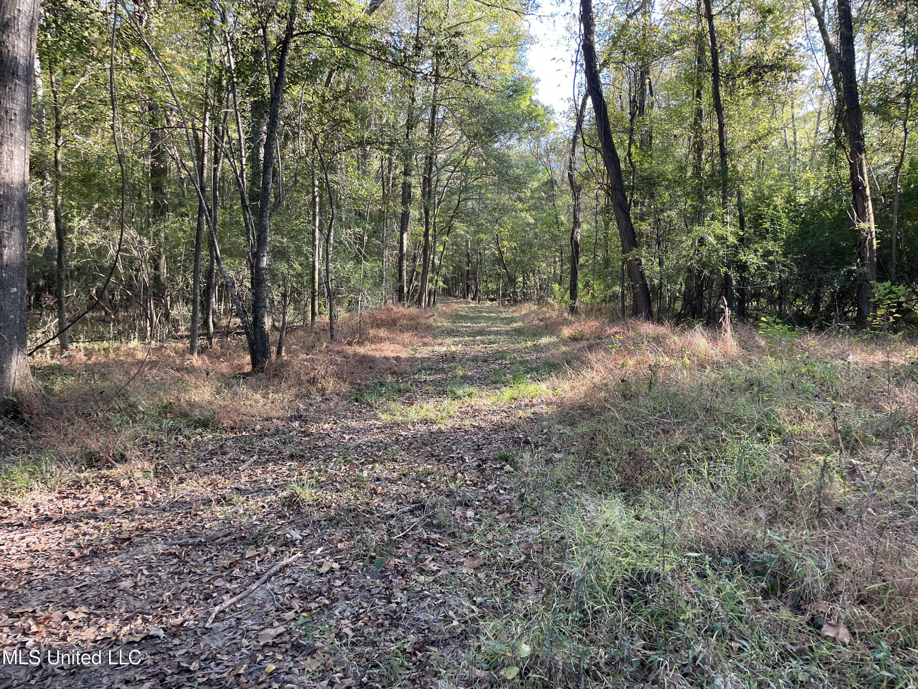 Clinton, MS 39056,E Lake Drive