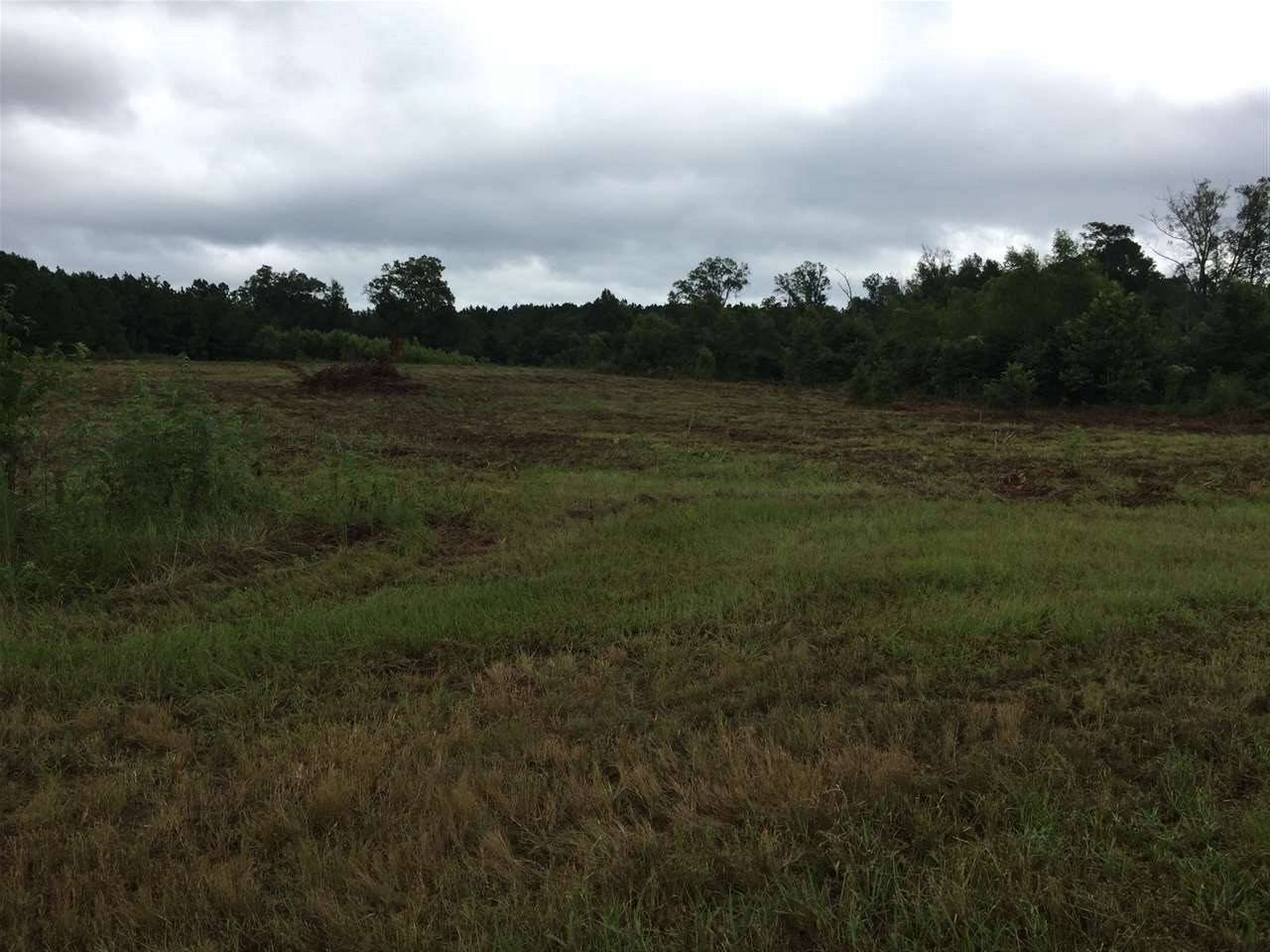 Forest, MS 39074,0 Highway 80 Highway