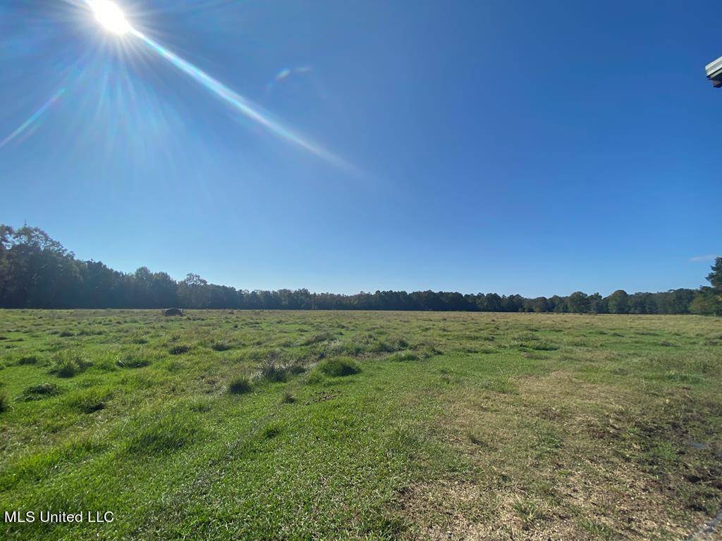 Poplarville, MS 39470,260 N Mitchel Chappel Road