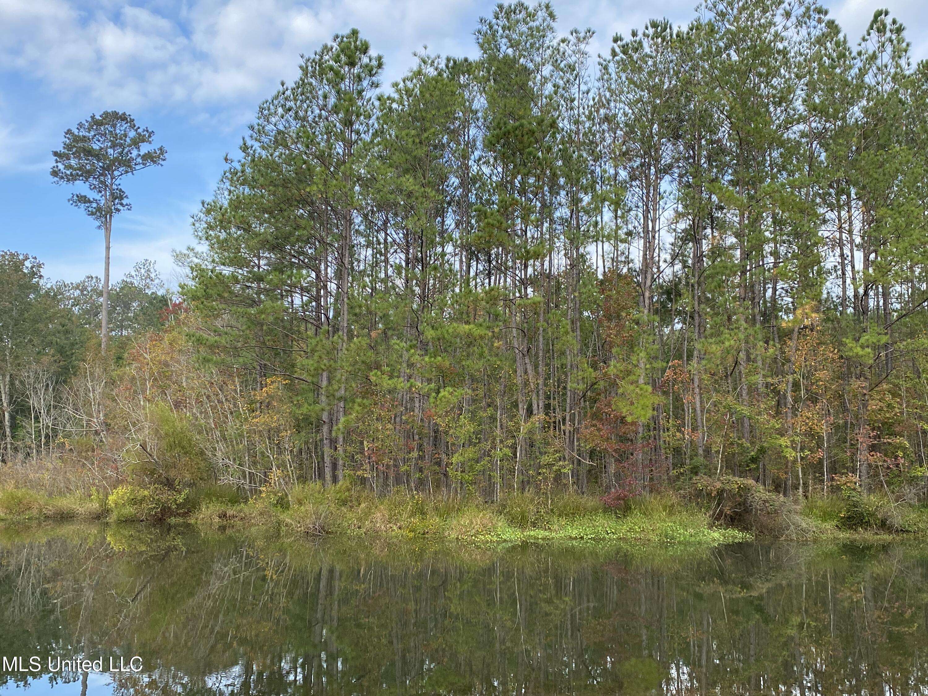 Picayune, MS 39466,Rock Ranch Road