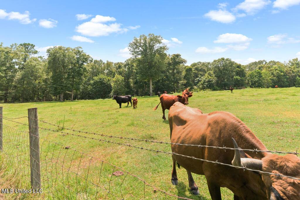 Petal, MS 39465,9085 Old River Road