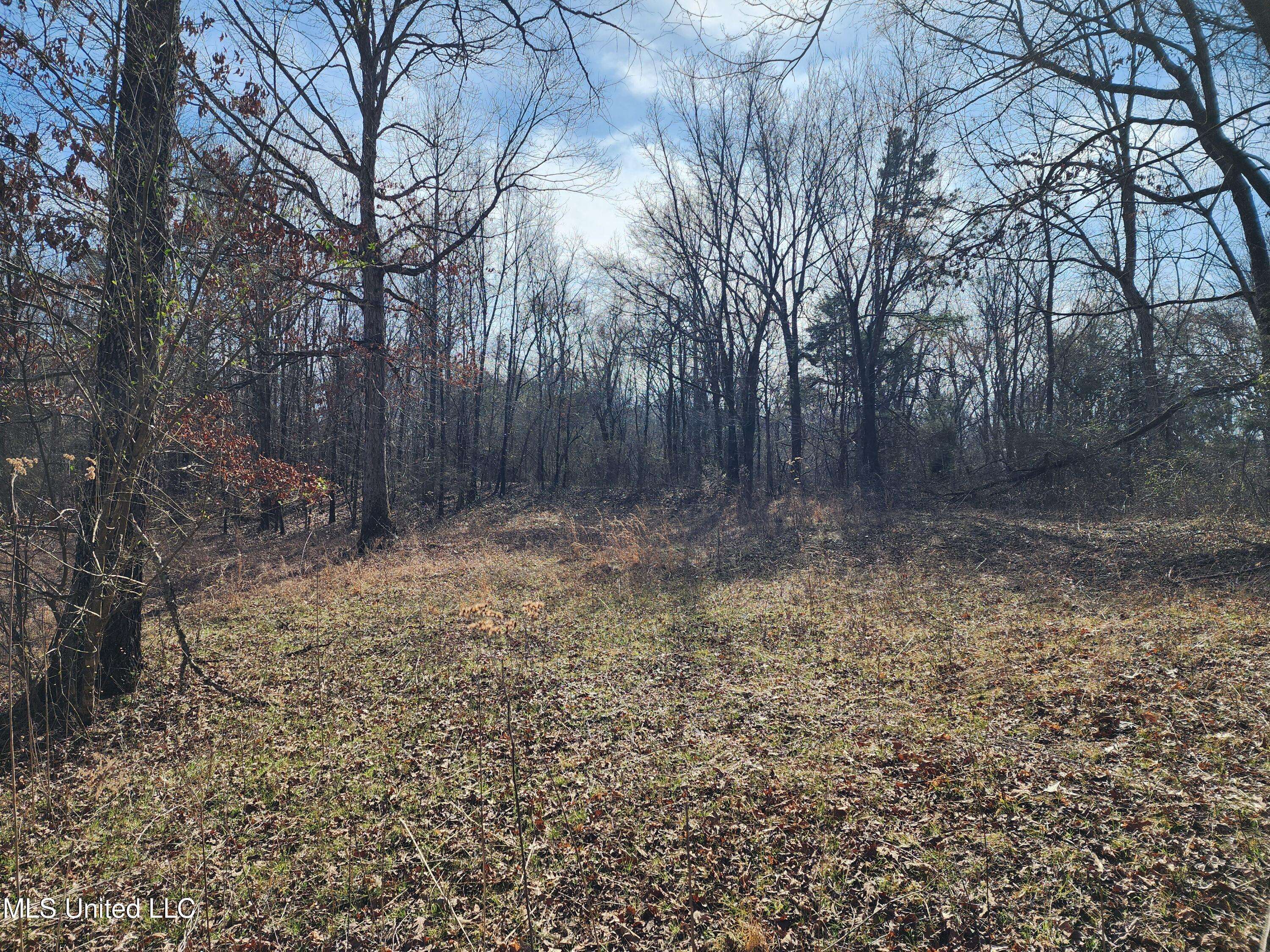 Holly Springs, MS 38635,0 Old Hwy 7