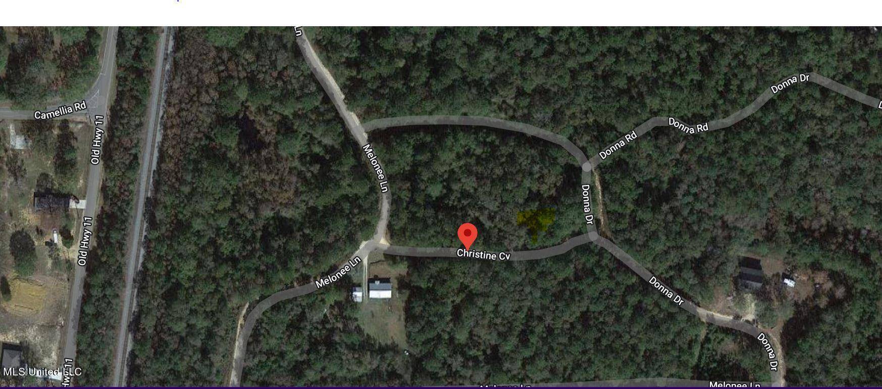 Carriere, MS 39426,Christine Cove