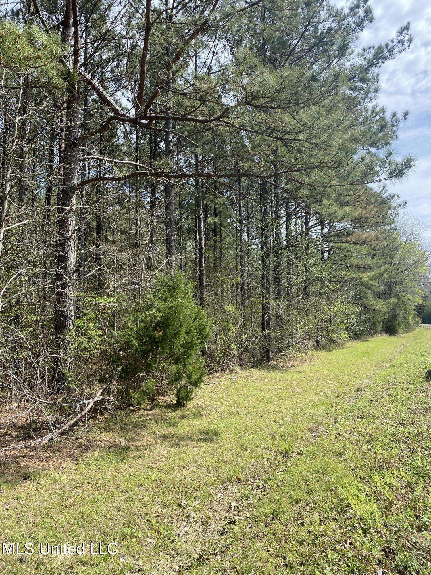 Canton, MS 39046,Dampeer Road