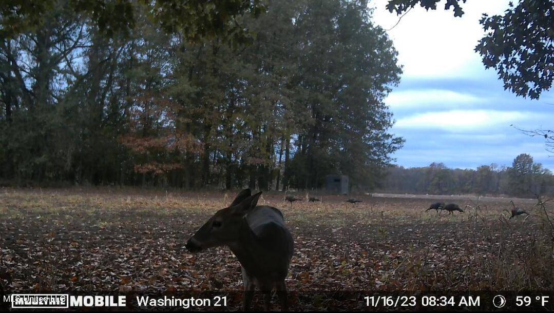 Greenville, MS 38703,Huntington Point Road