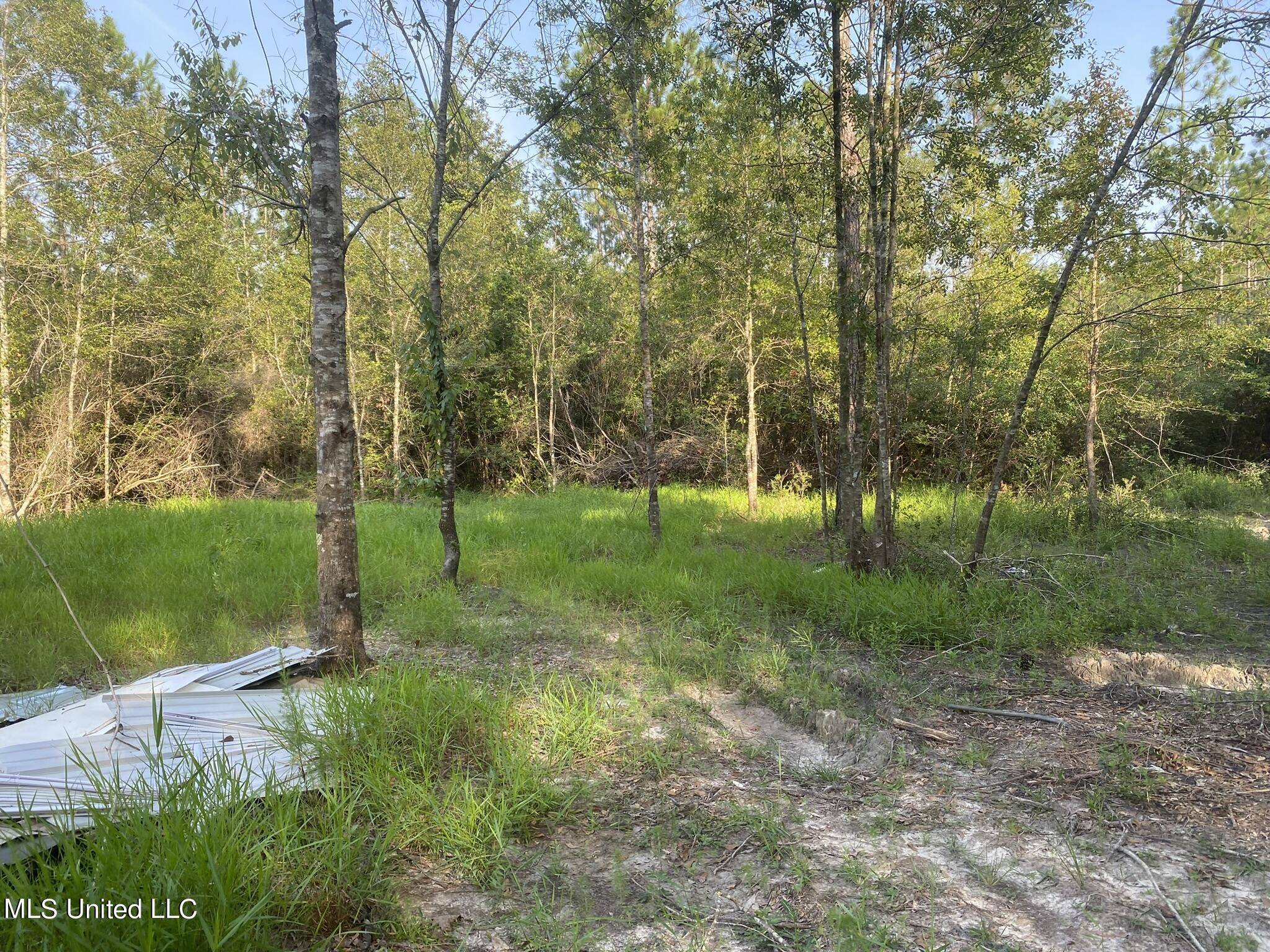 Perkinston, MS 39573,26004 Bowfin Drive