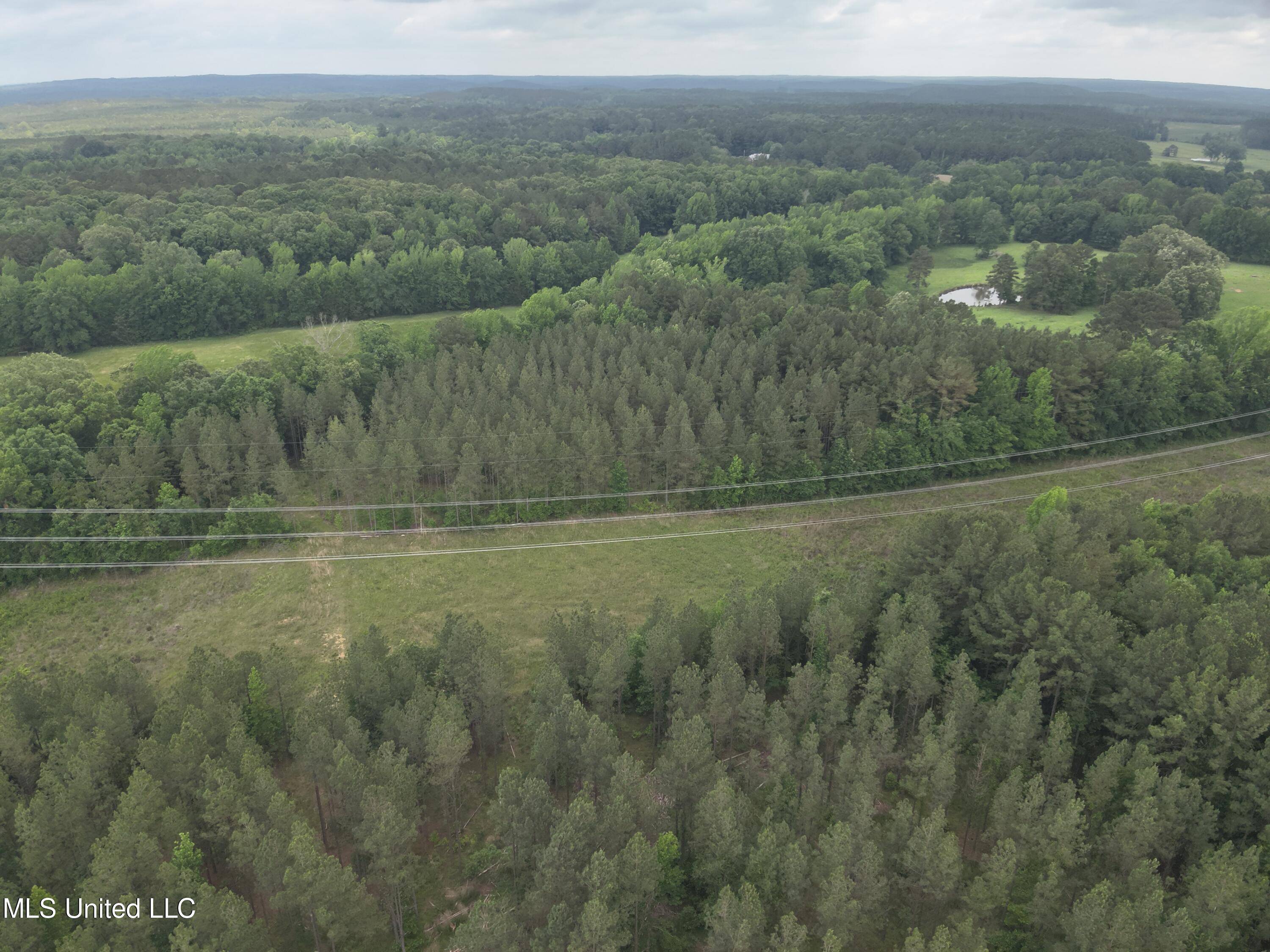Sallis, MS 39160,Hwy  429