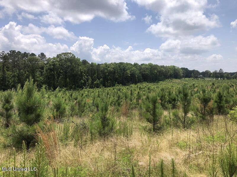 Vaiden, MS 39176,32 Country Road