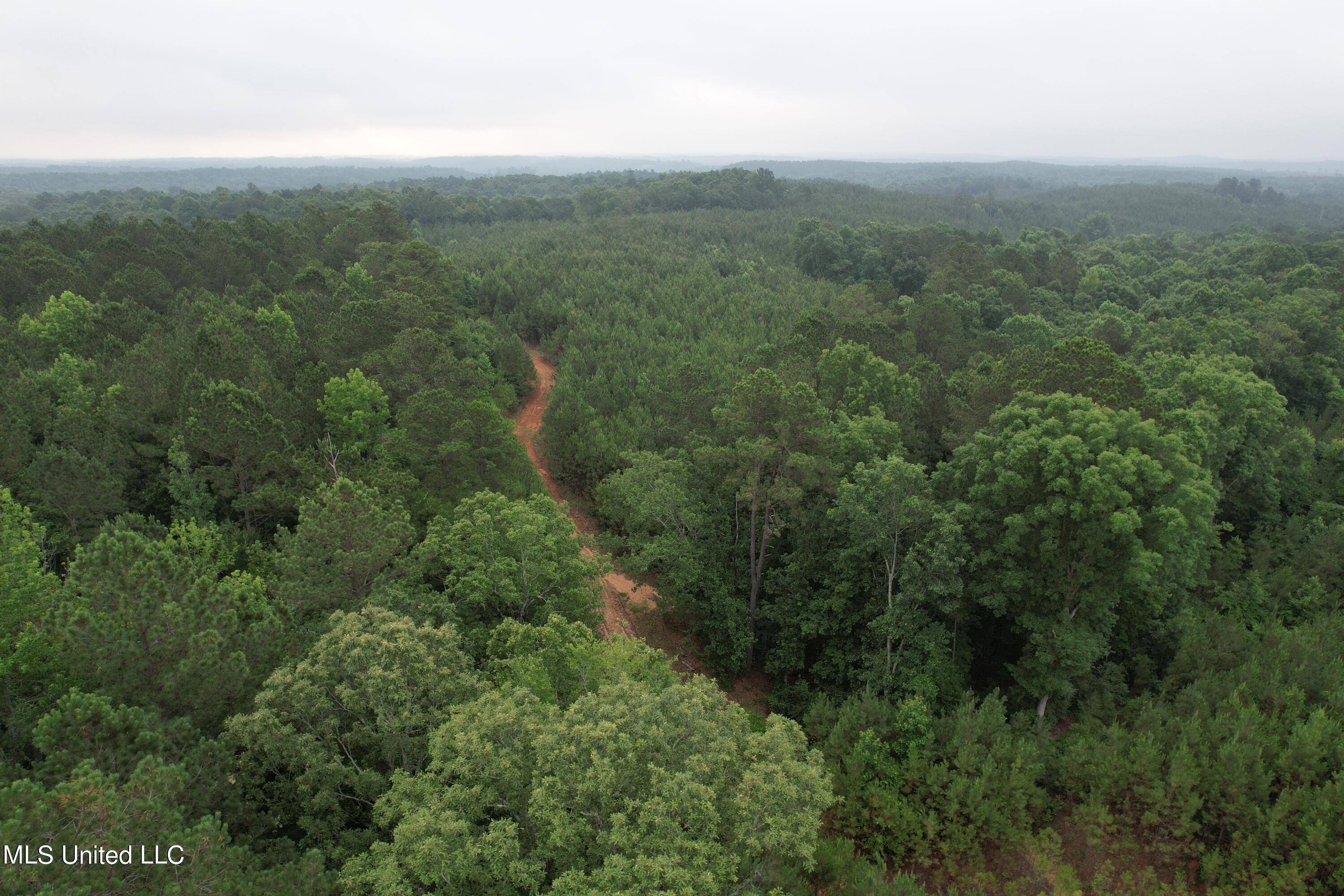 Vaiden, MS 39176,Tom Mans Road Road