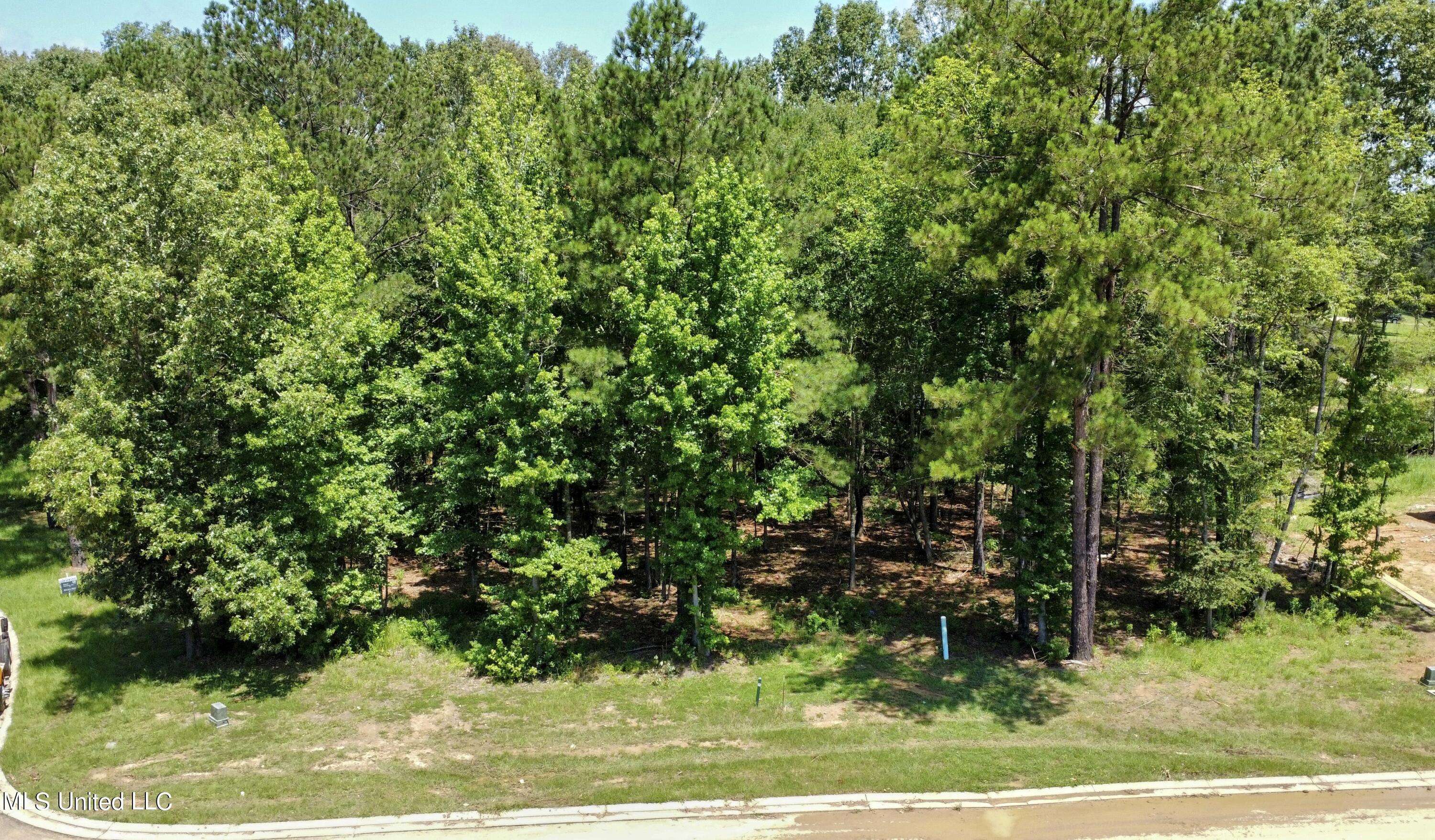 Clinton, MS 39056,0 Cedar Hill Way