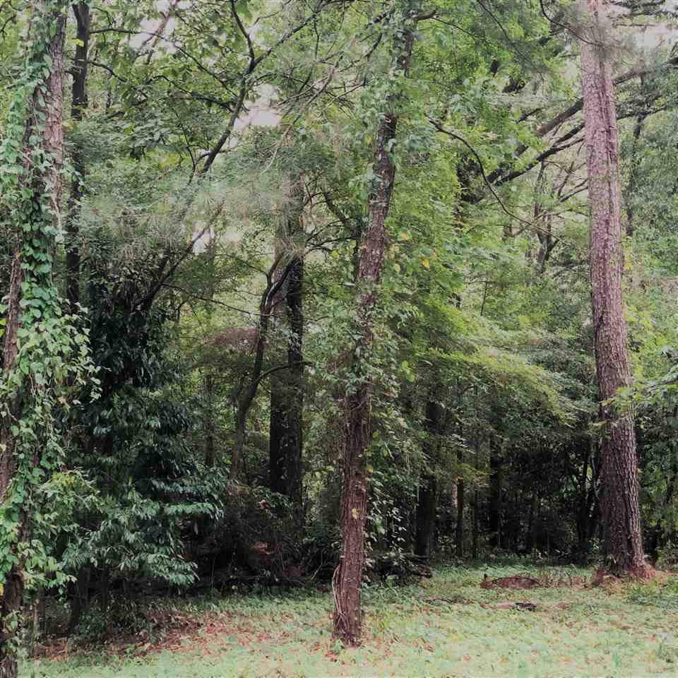 Jackson, MS 39216,Douglass Drive