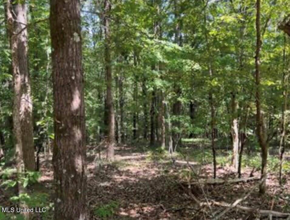 Oakland, MS 38948,1752 County Road 170