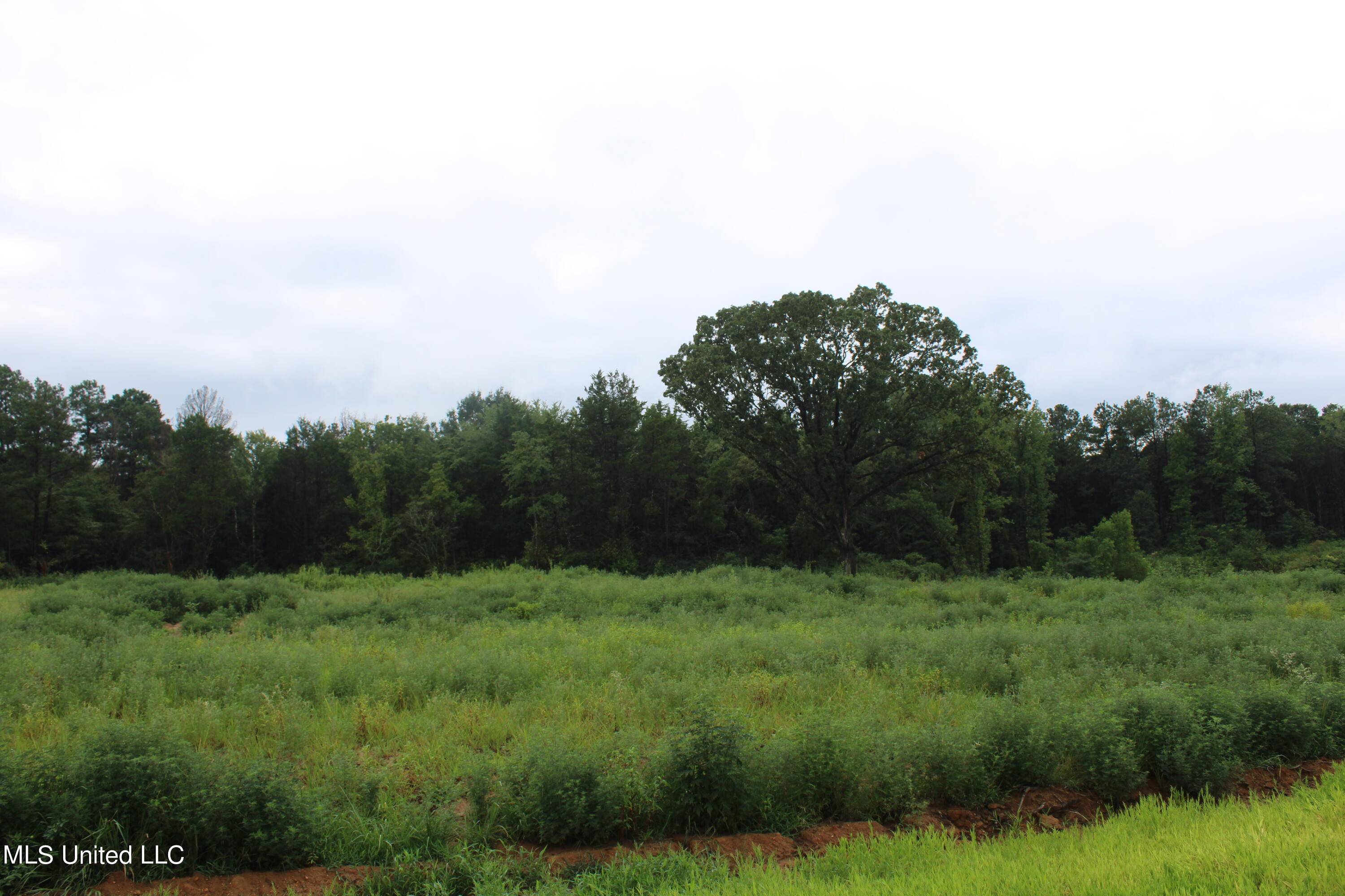 Byhalia, MS 38611,6 Taylor Nichole Road
