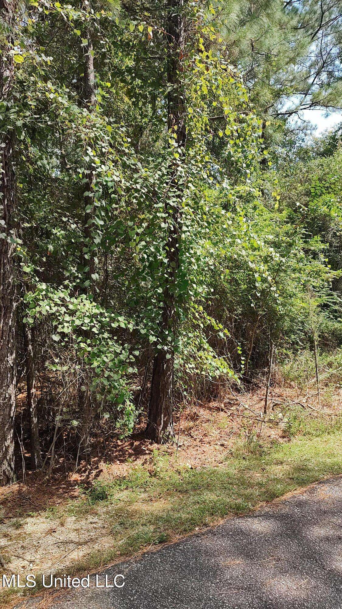 Carriere, MS 39426,Covered Bridge Road