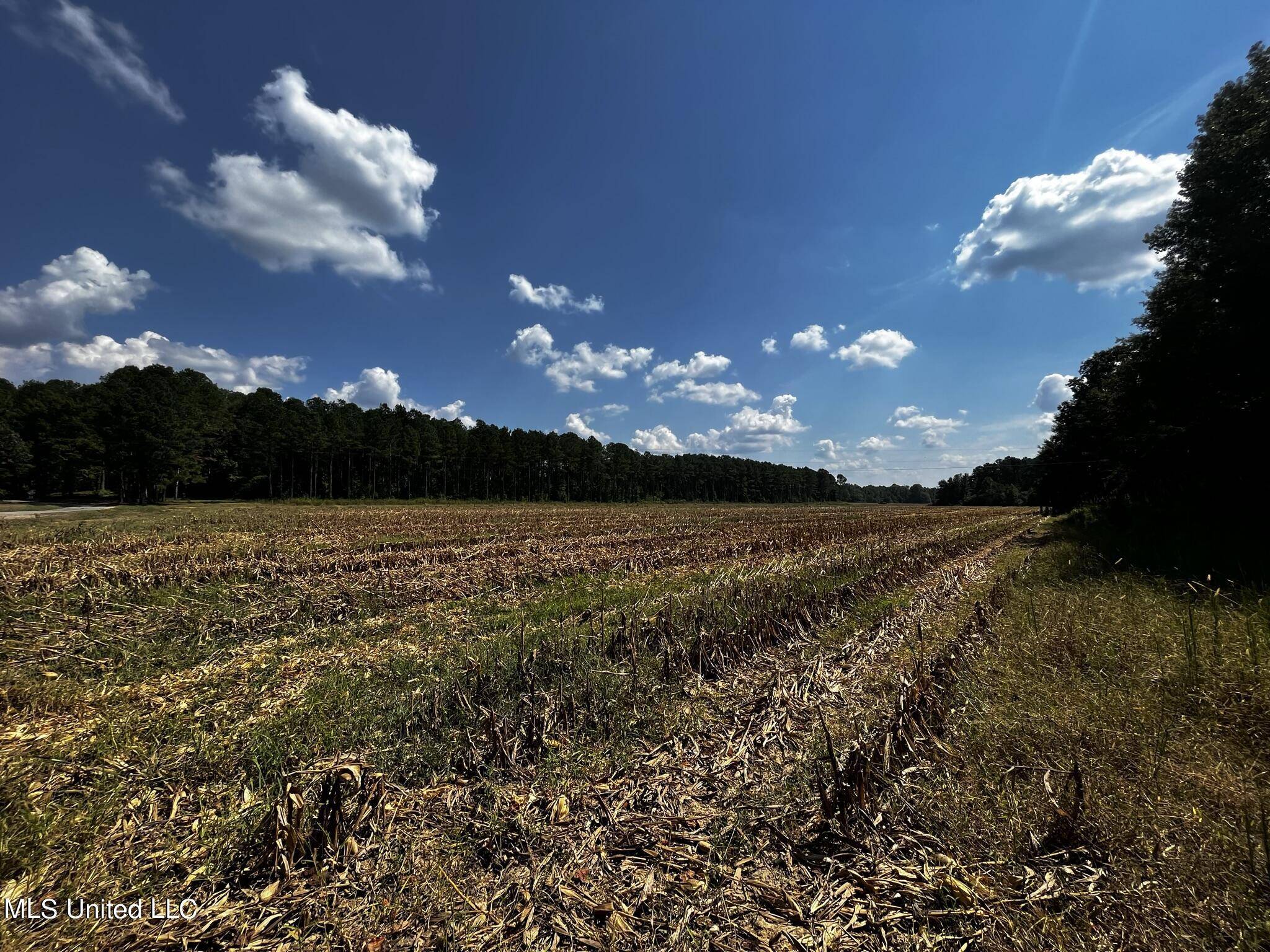 Eupora, MS 39744,County Road 43