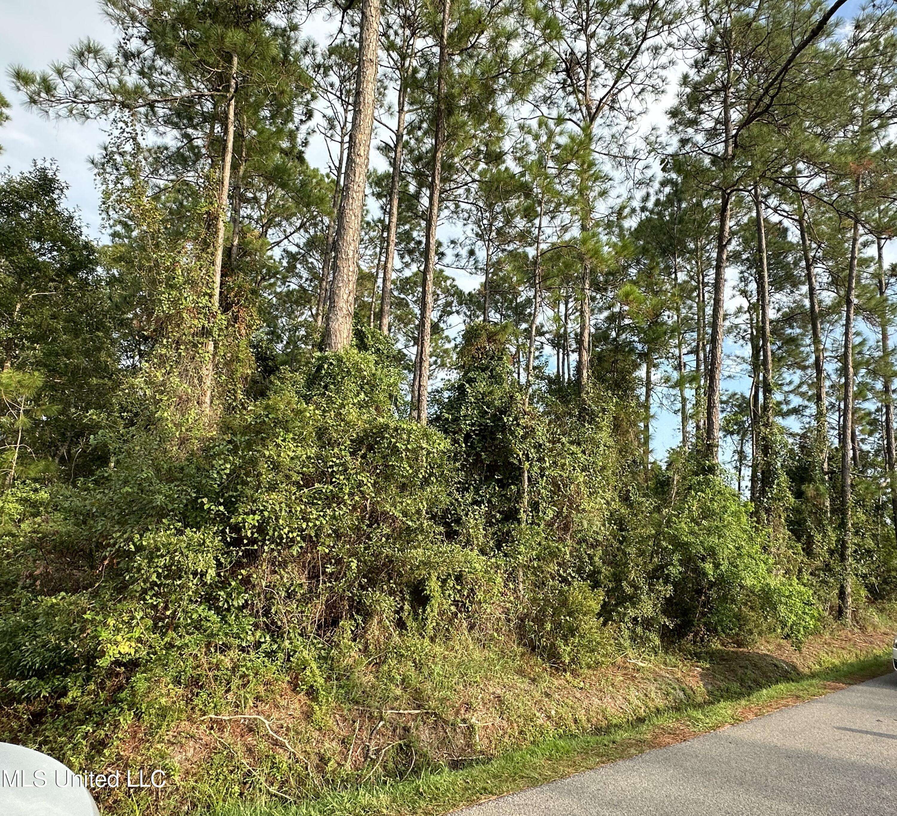 Waveland, MS 39576,Combel Street
