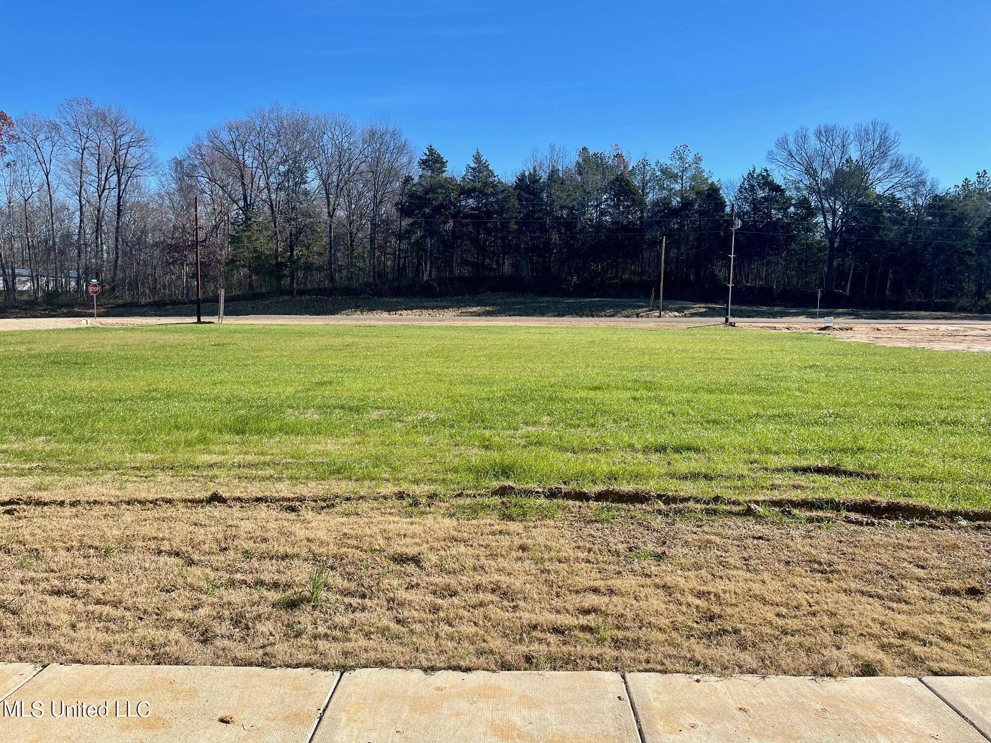 Byhalia, MS 38611,3763 Watson Desoto Rd Road