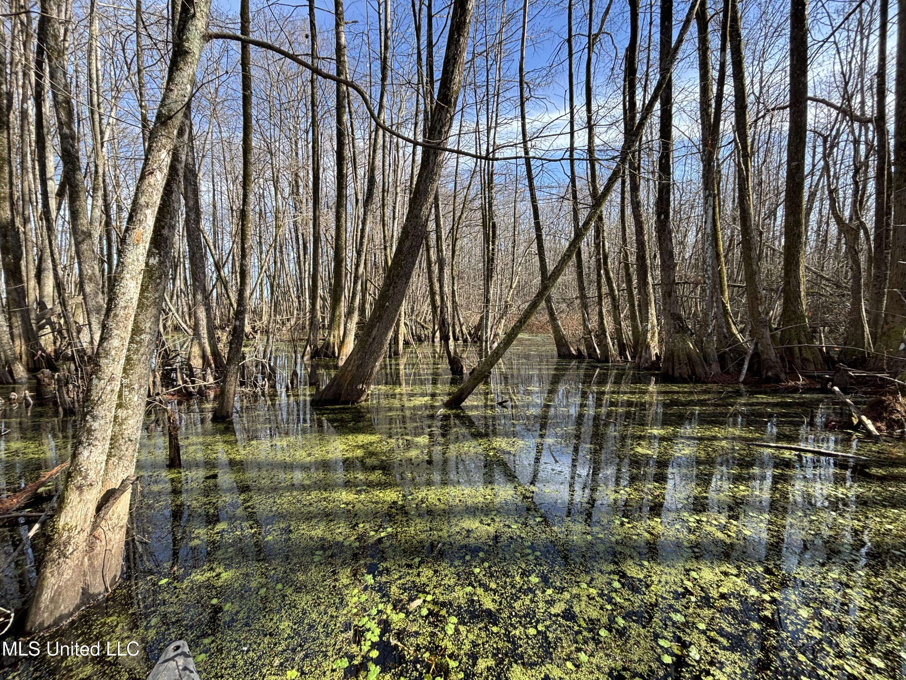 Tchula, MS 39169,4676 Quofaloma Road