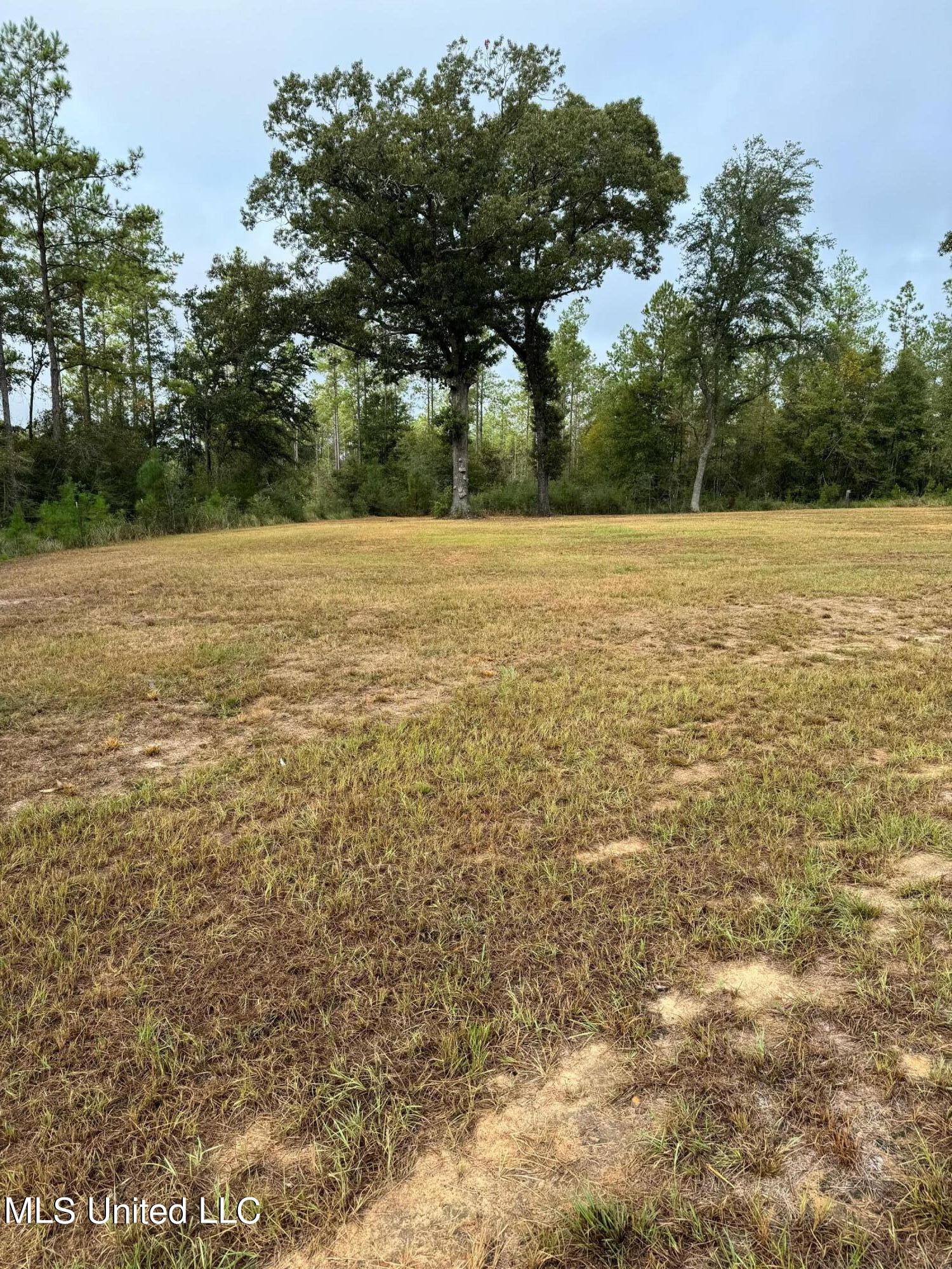 Lucedale, MS 39452,221 Gracies Way, Lot 34