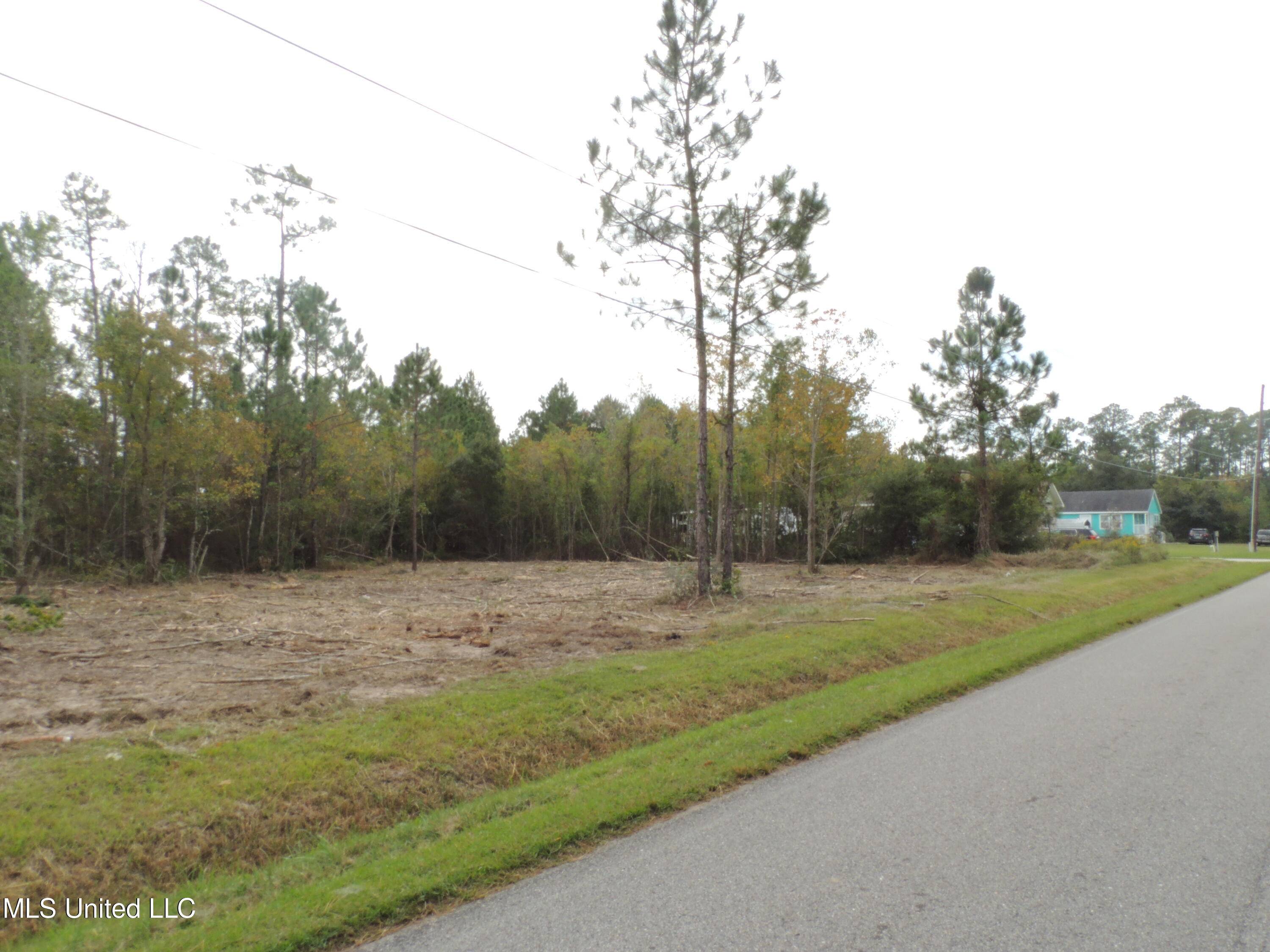 Bay Saint Louis, MS 39520,0 Chapman Road