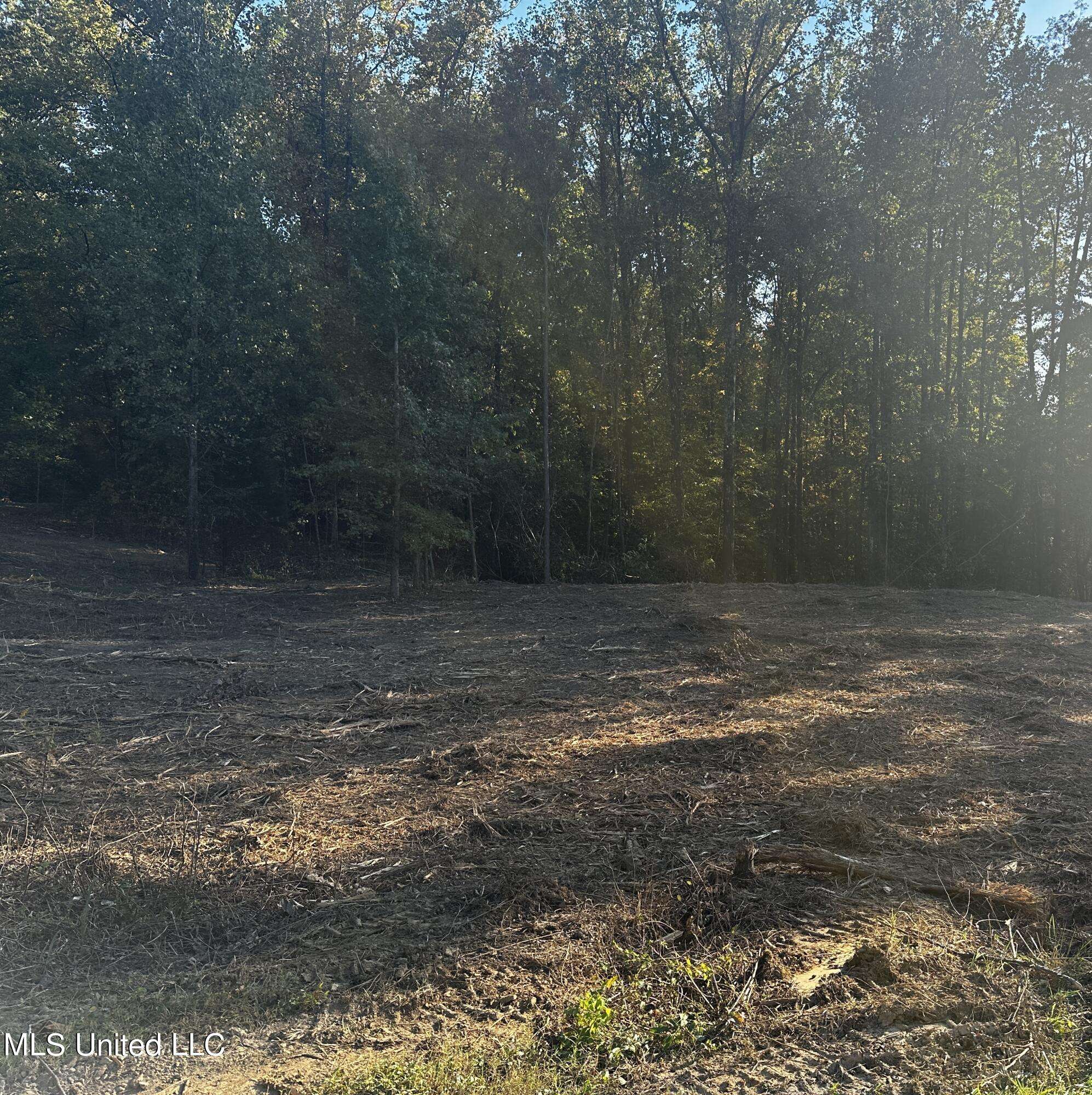 Lake Cormorant, MS 38641,15 Michael Drive