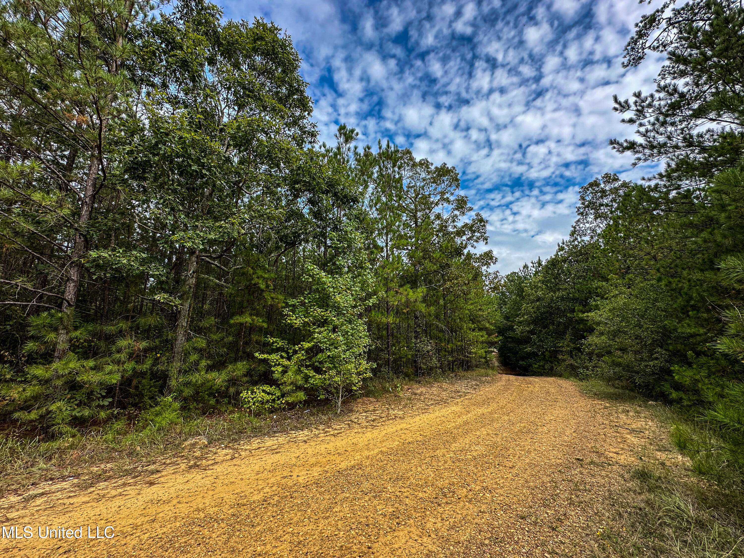 Carthage, MS 39051,Pleasant Grove Road