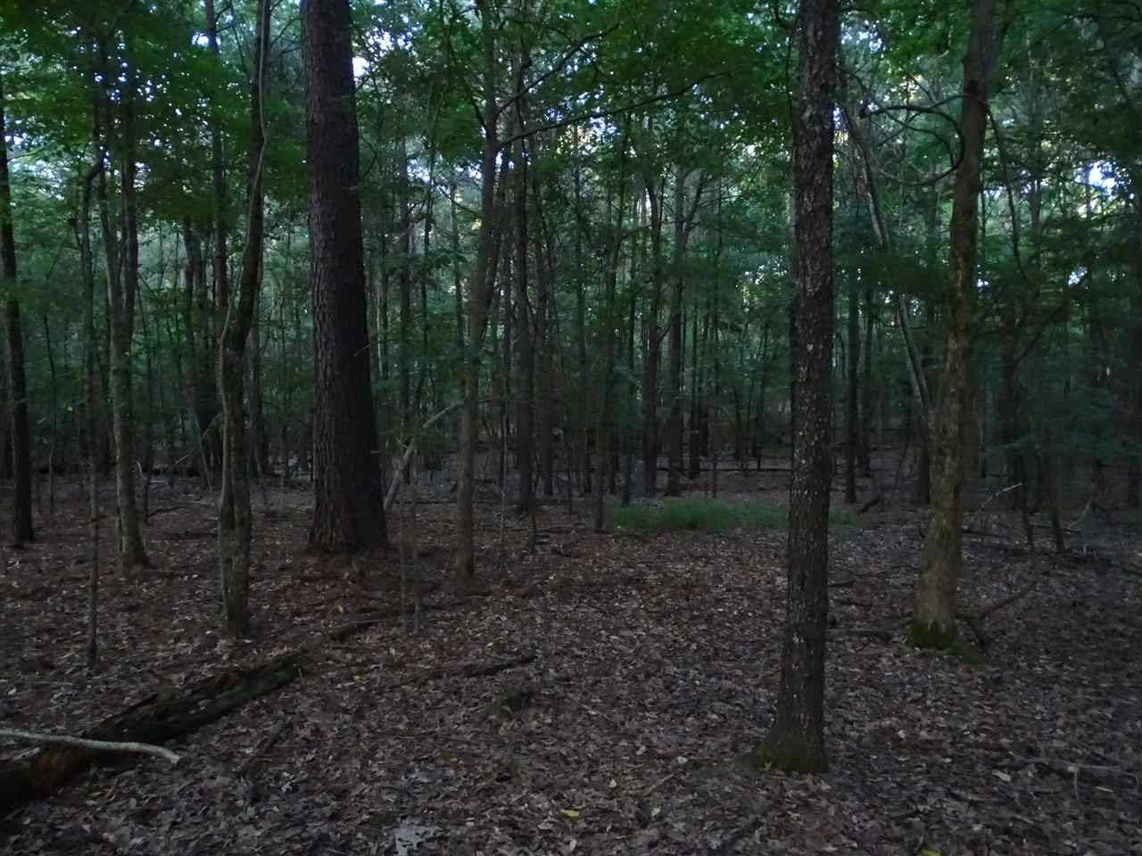 Madison, MS 39110,St Augustine Drive