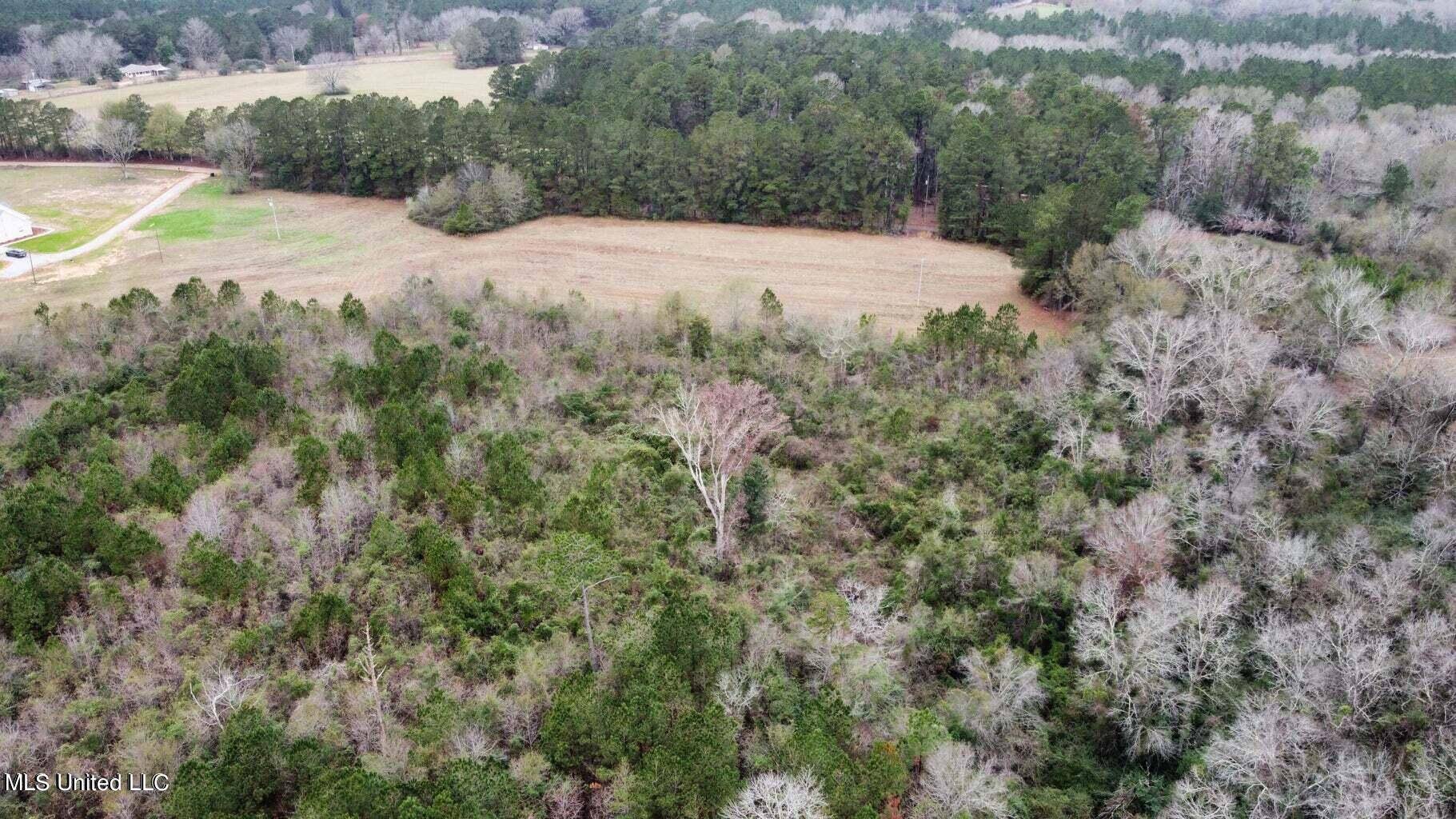 Mendenhall, MS 39114,Frank And Ward Mclendon Road