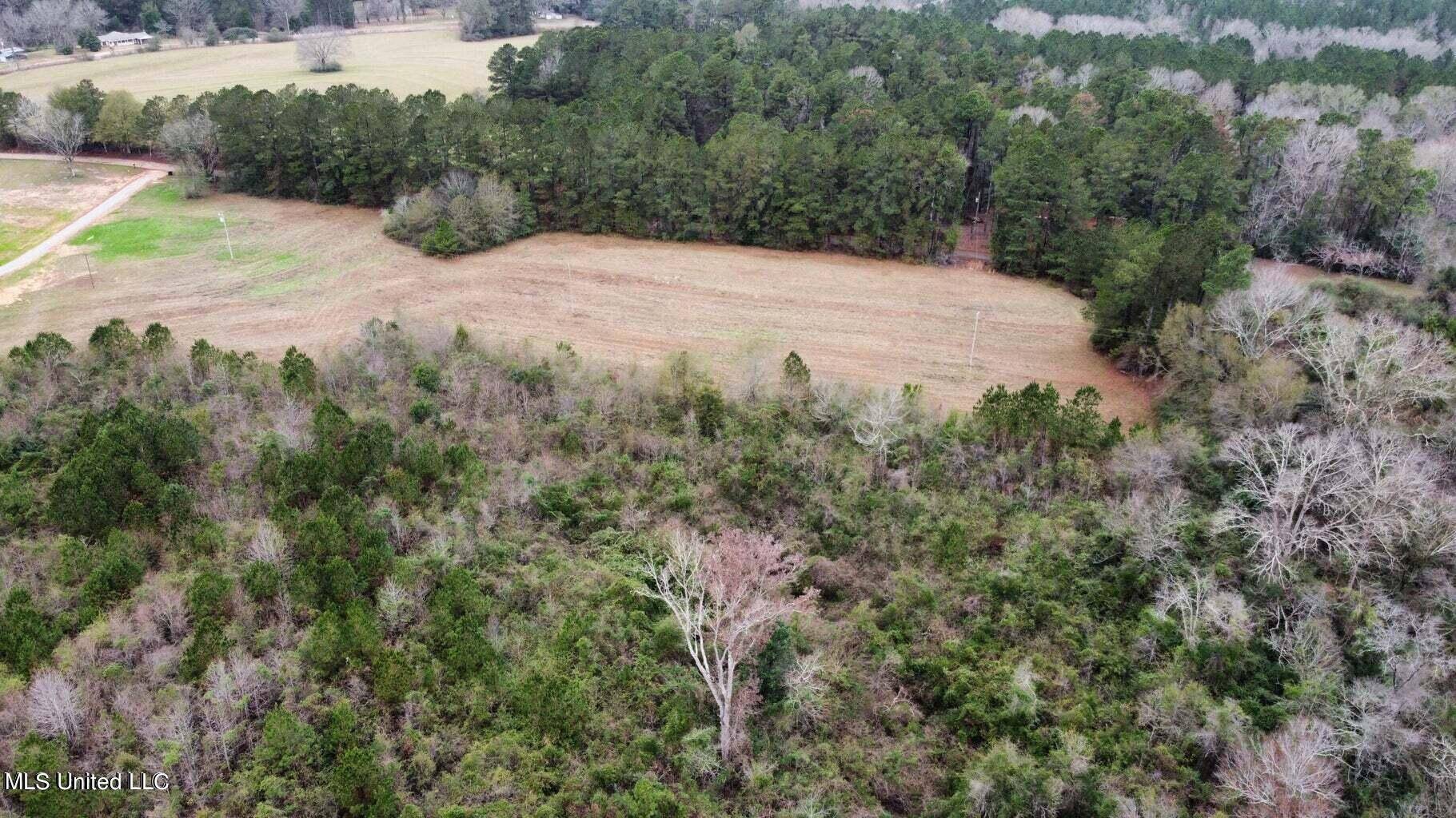 Mendenhall, MS 39114,Frank And Ward Mclendon Road