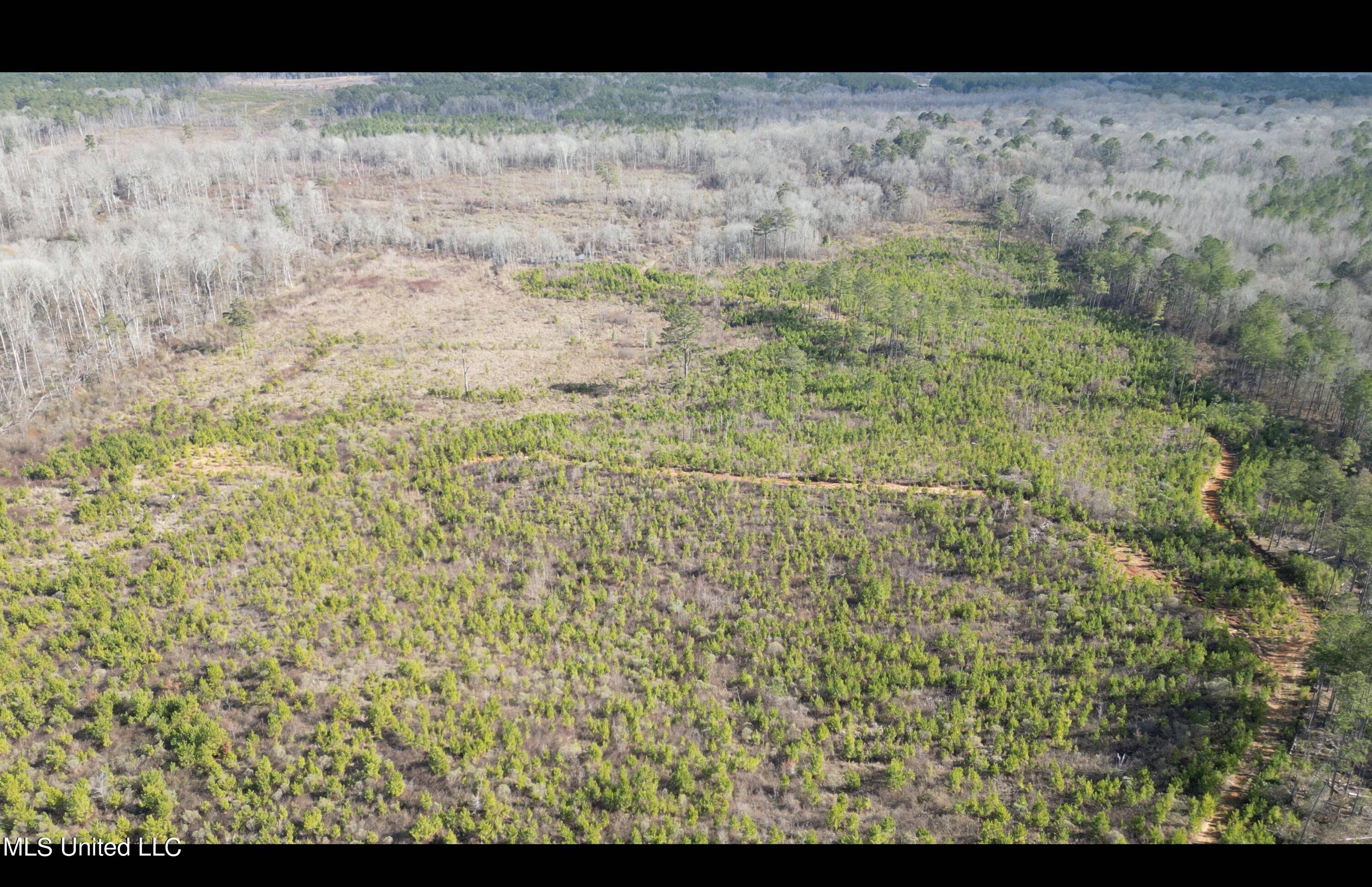 Philadelphia, MS 39350,1 Highway 19