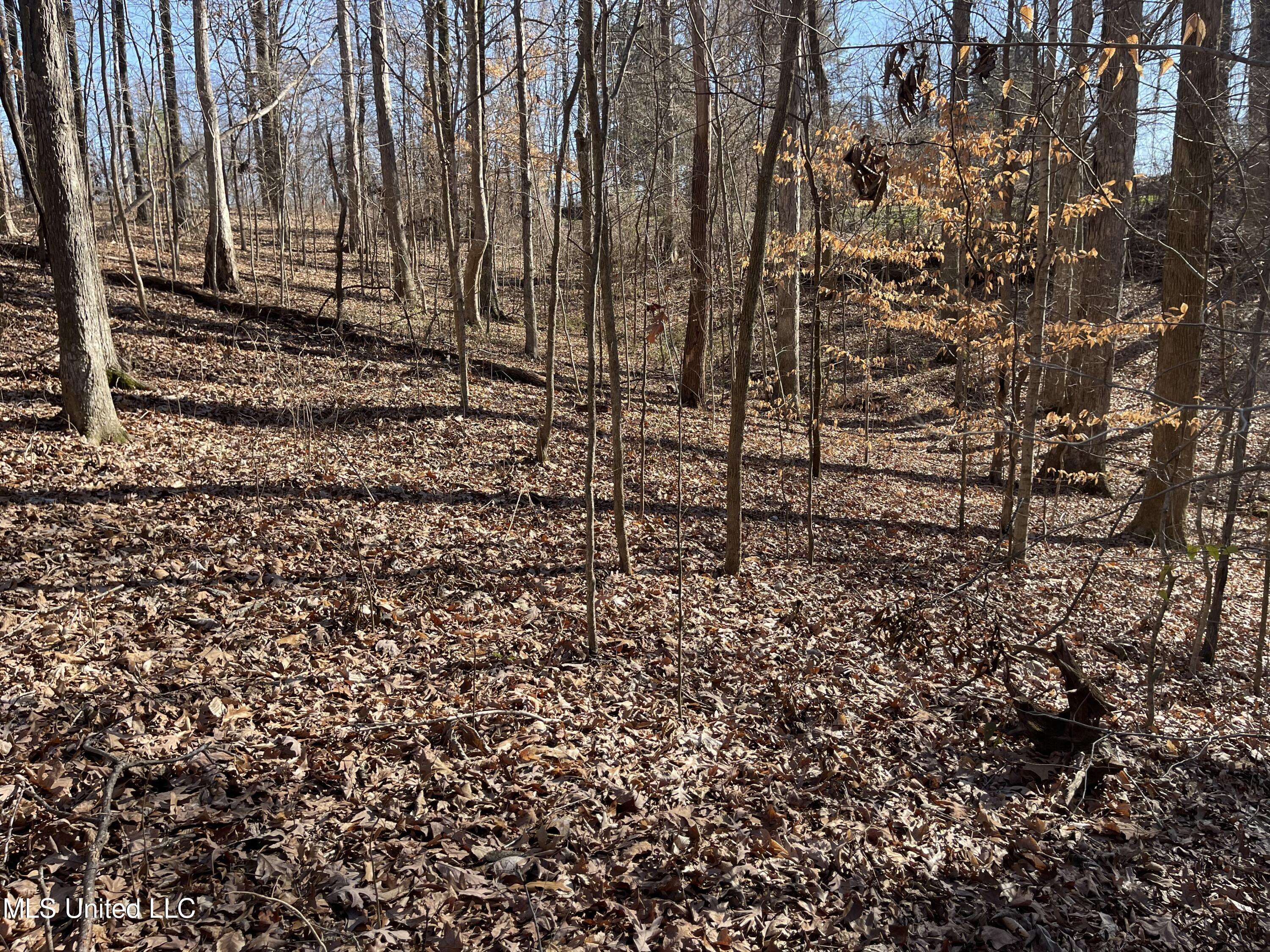 Hernando, MS 38632,2311 Pocahontas Cove