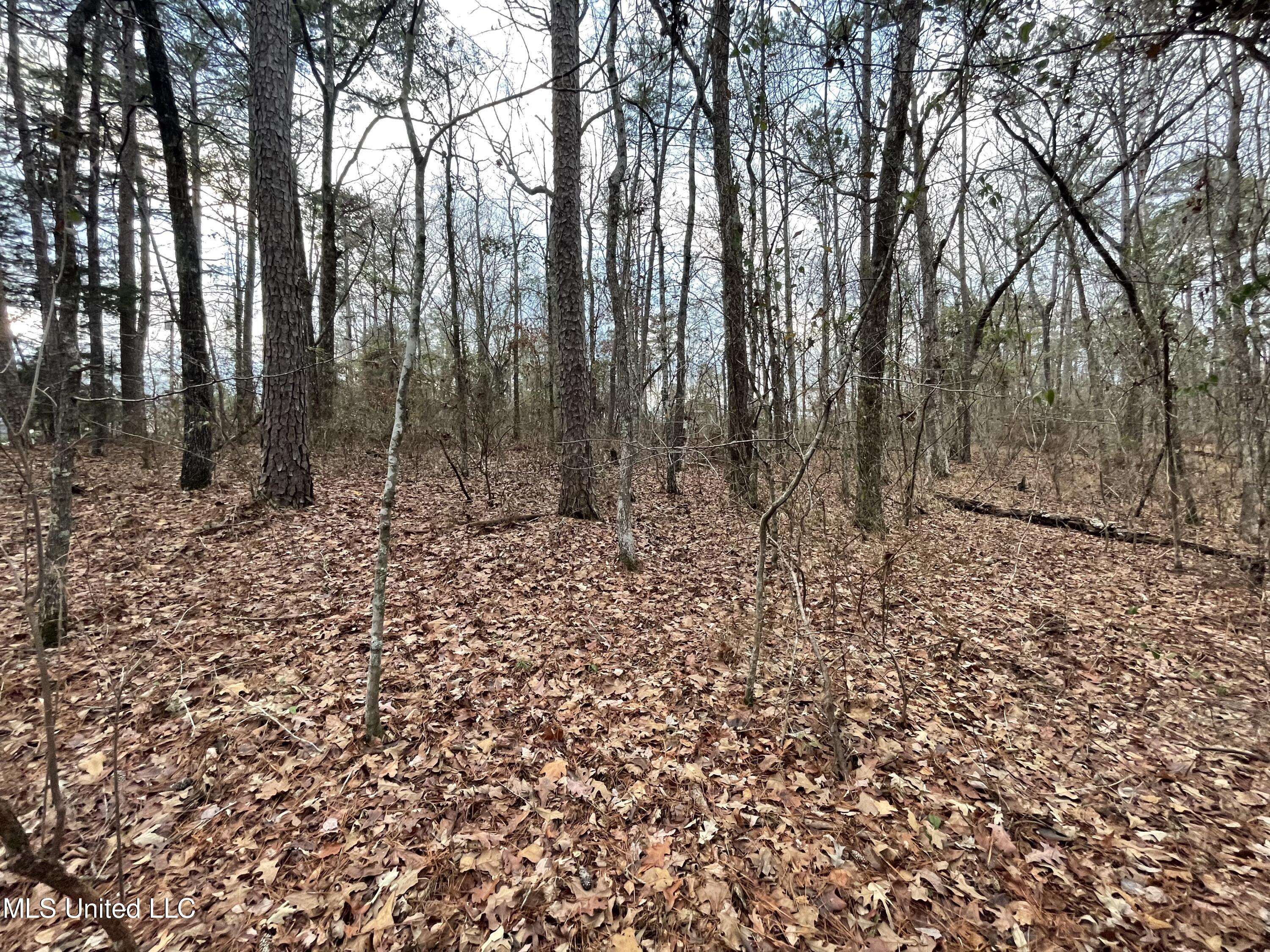 Brandon, MS 39042,Pinndale Drive