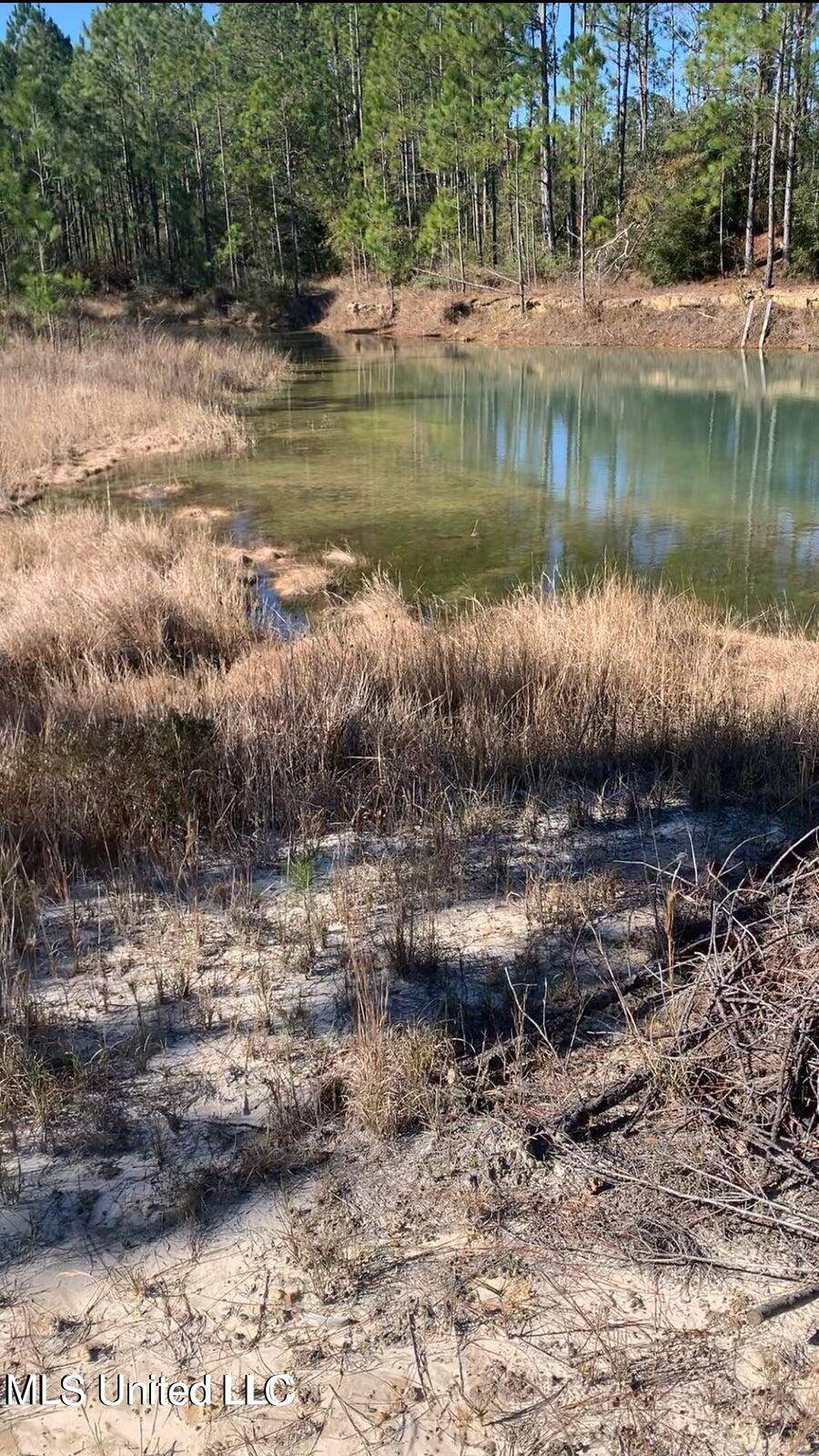 Bay Saint Louis, MS 39520,0 Bayou Lacroix Road