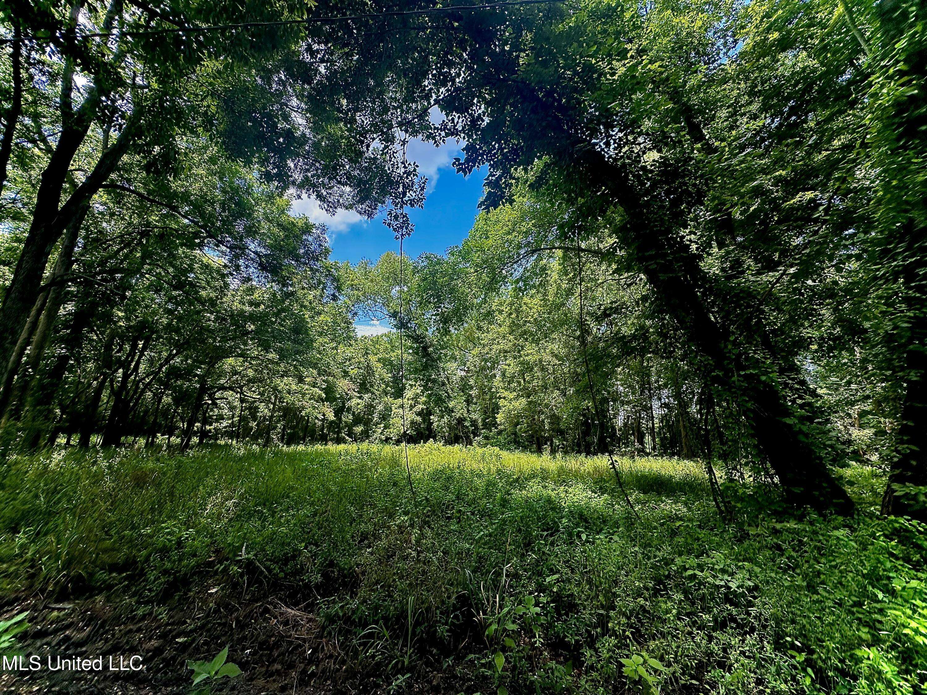 Woodville, MS 39669,5792 Lake Mary Road
