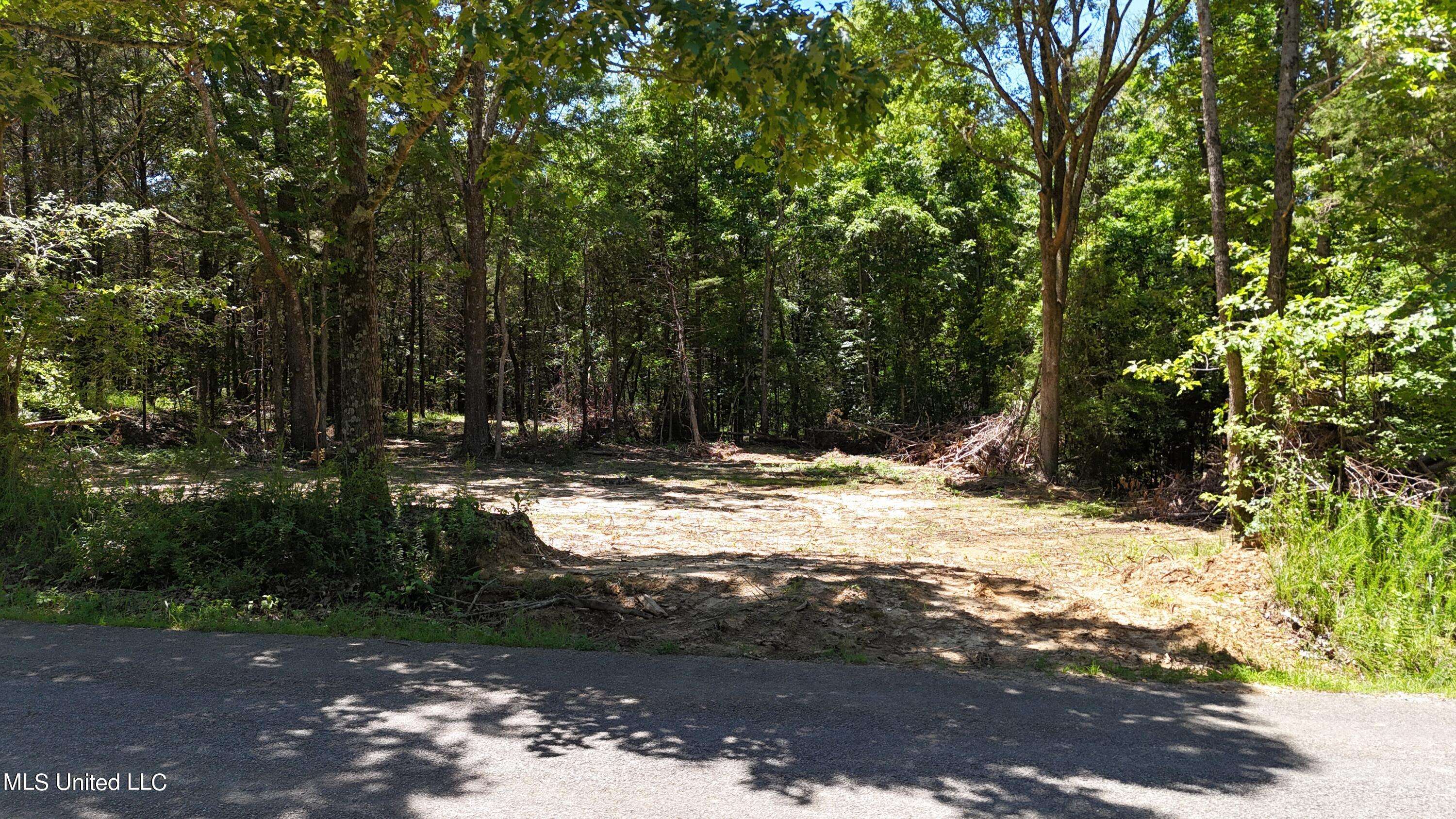 Byhalia, MS 38611,Wall Hill Farms Rd