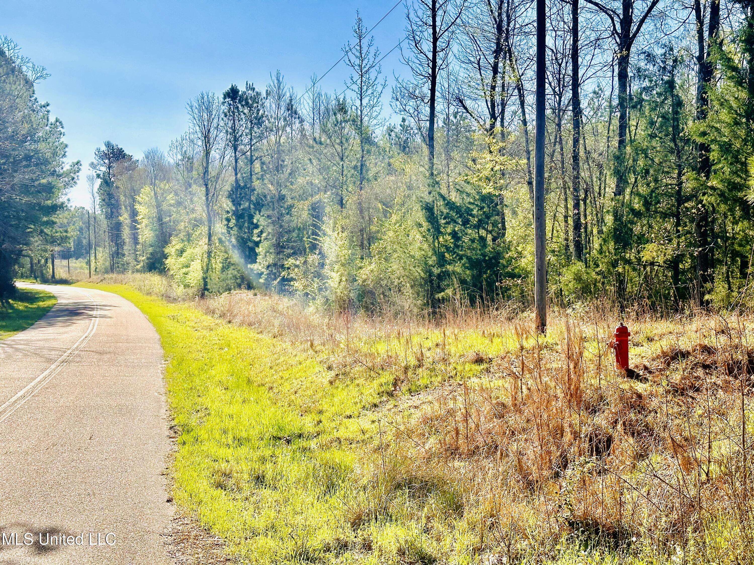 Crystal Springs, MS 39059,0 Little Rock Road