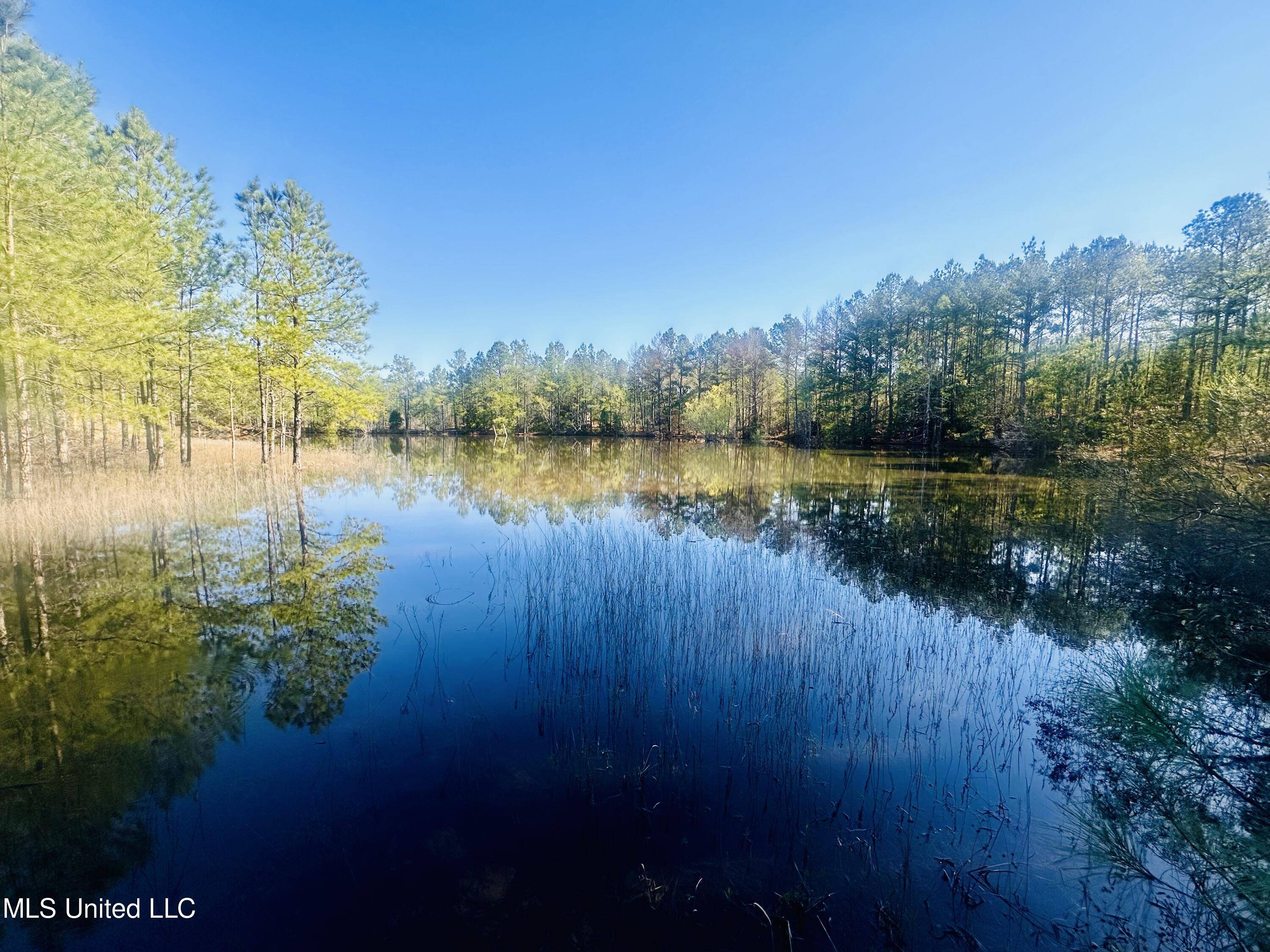 Crystal Springs, MS 39059,0 Little Rock Road