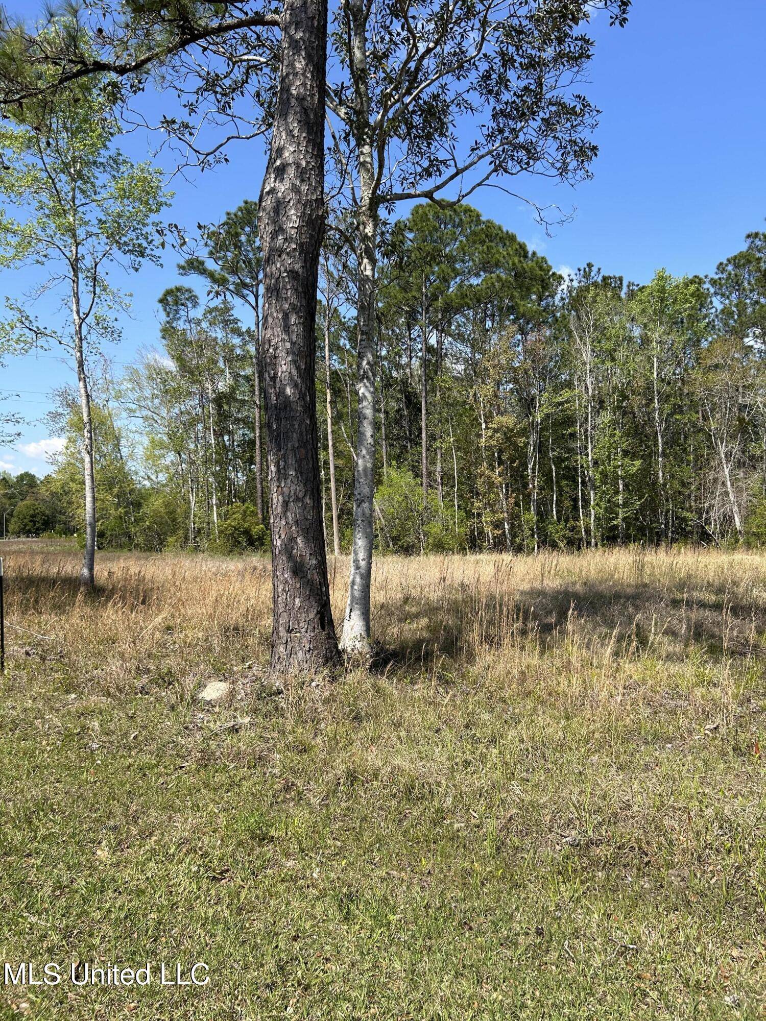 D'iberville, MS 39540,Riverwalk