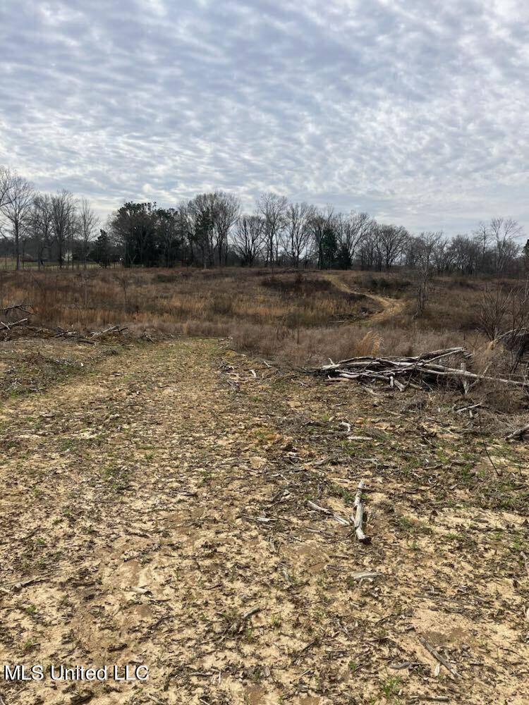 Senatobia, MS 38668,3 Cypress Corner Road