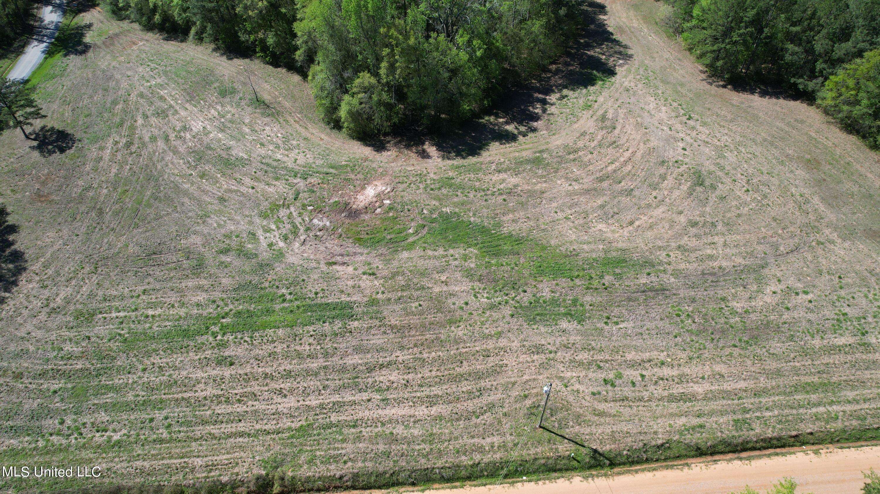 Union, MS 39365,Melvin Leach  Road