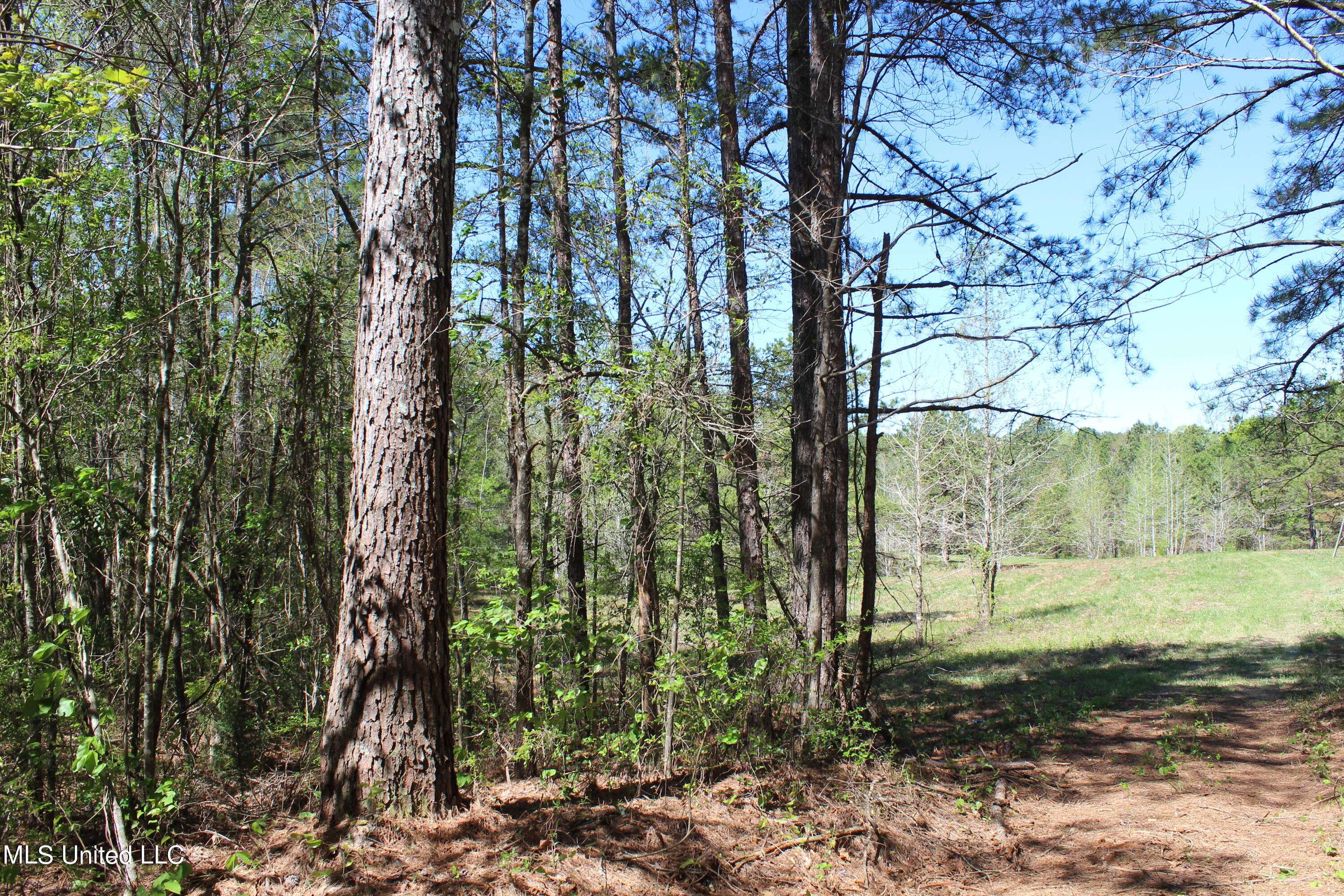 Union, MS 39365,Melvin Leach  Road