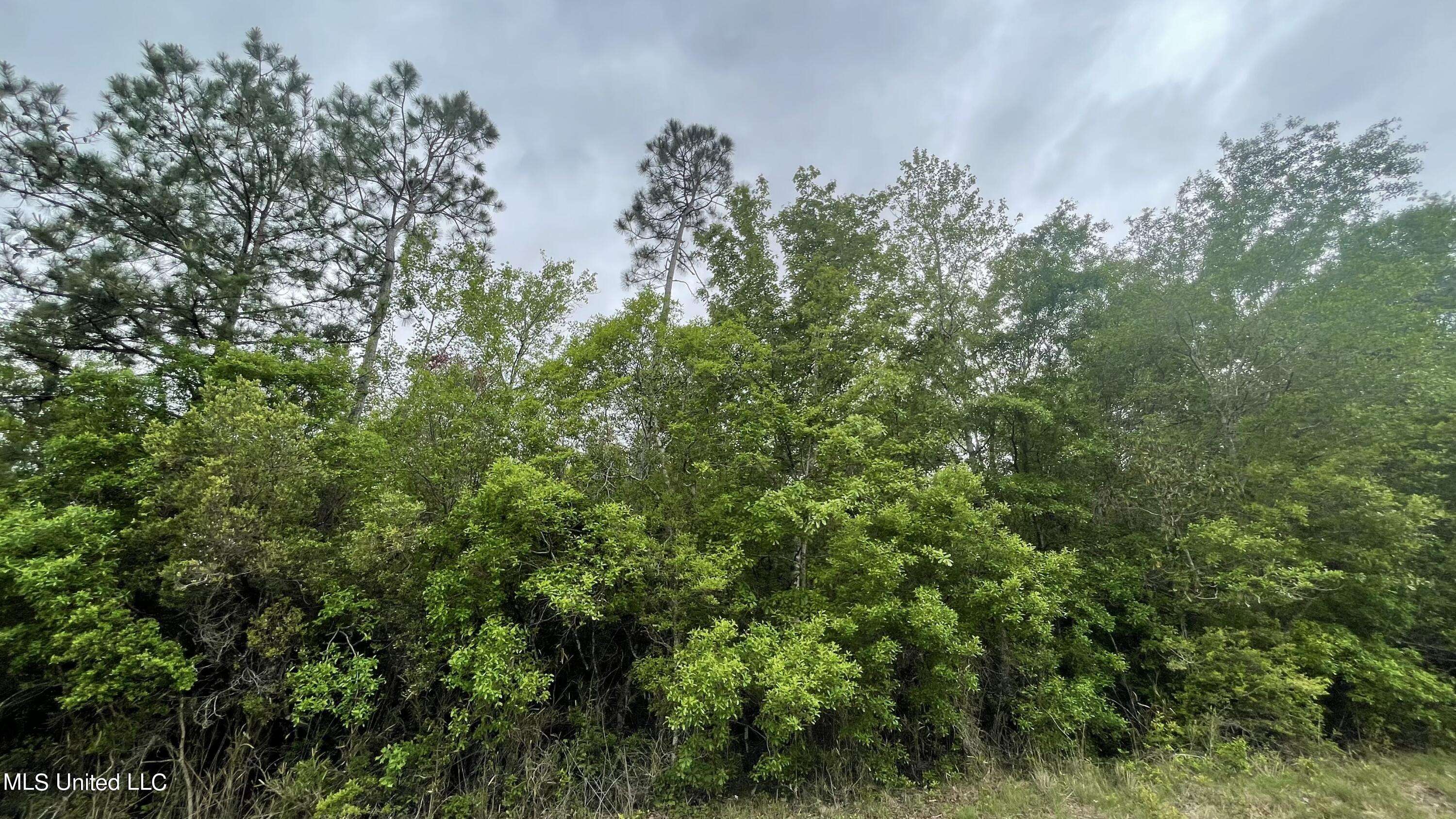 Pass Christian, MS 39571,Lobouy Road