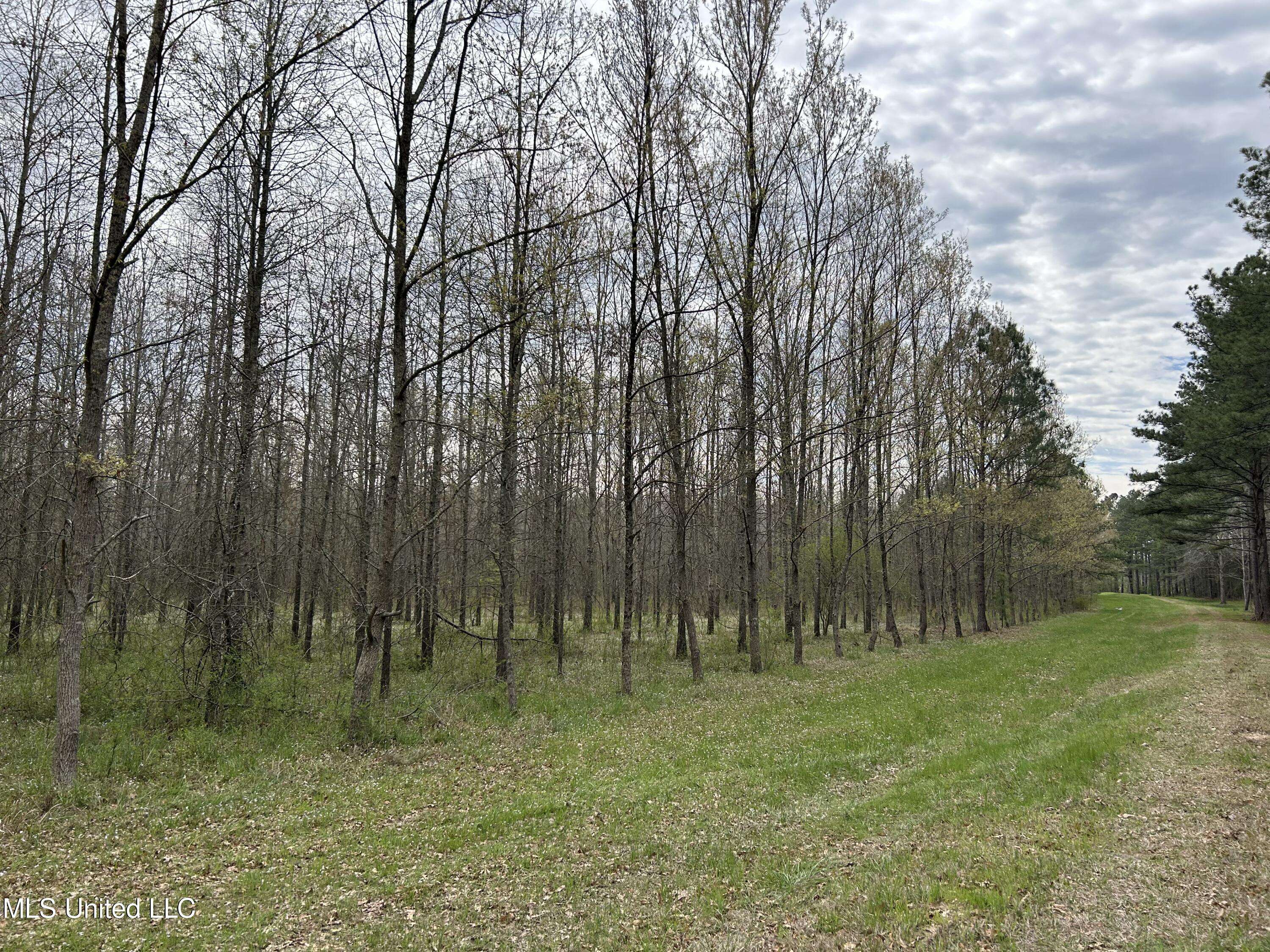 Walnut Grove, MS 39189,Lewis Road Road